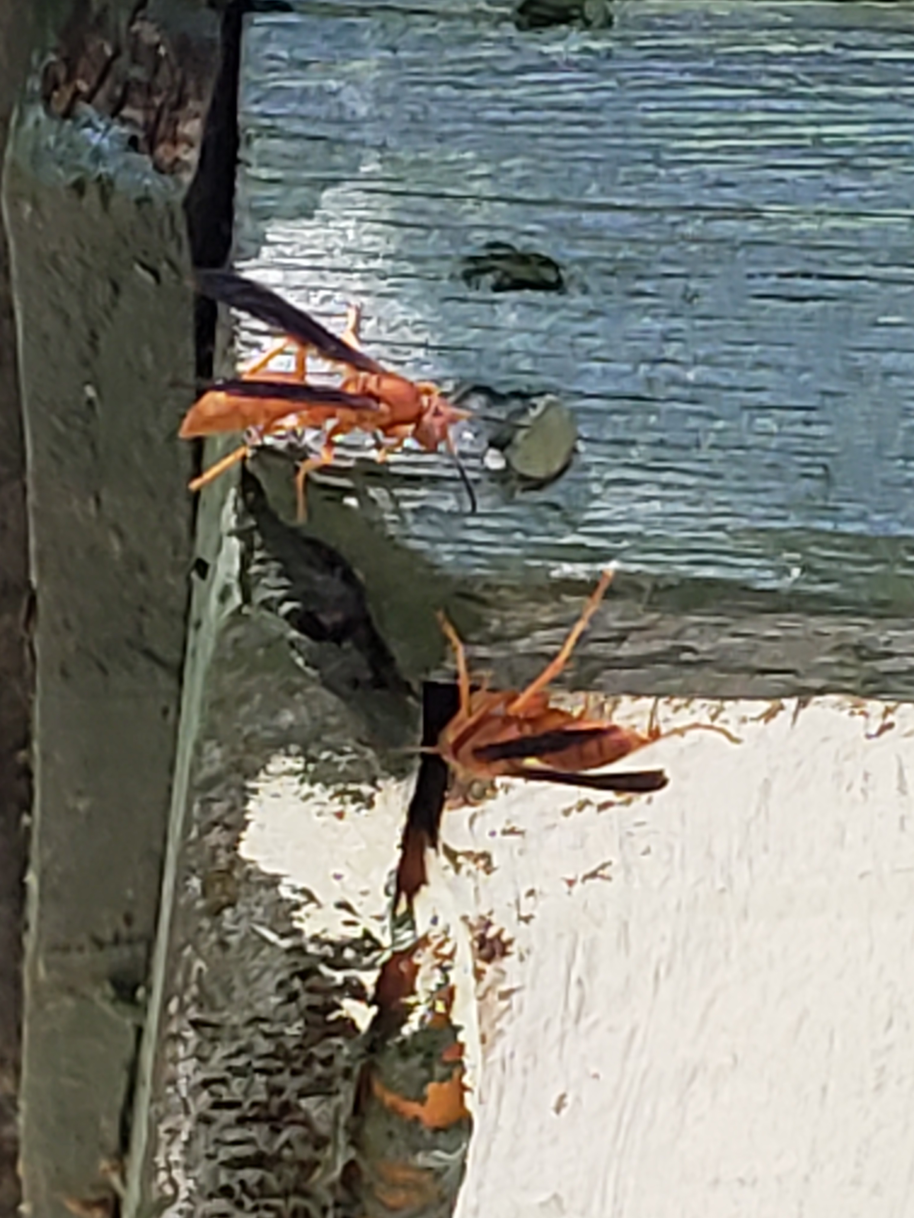 20180918_124008.jpg