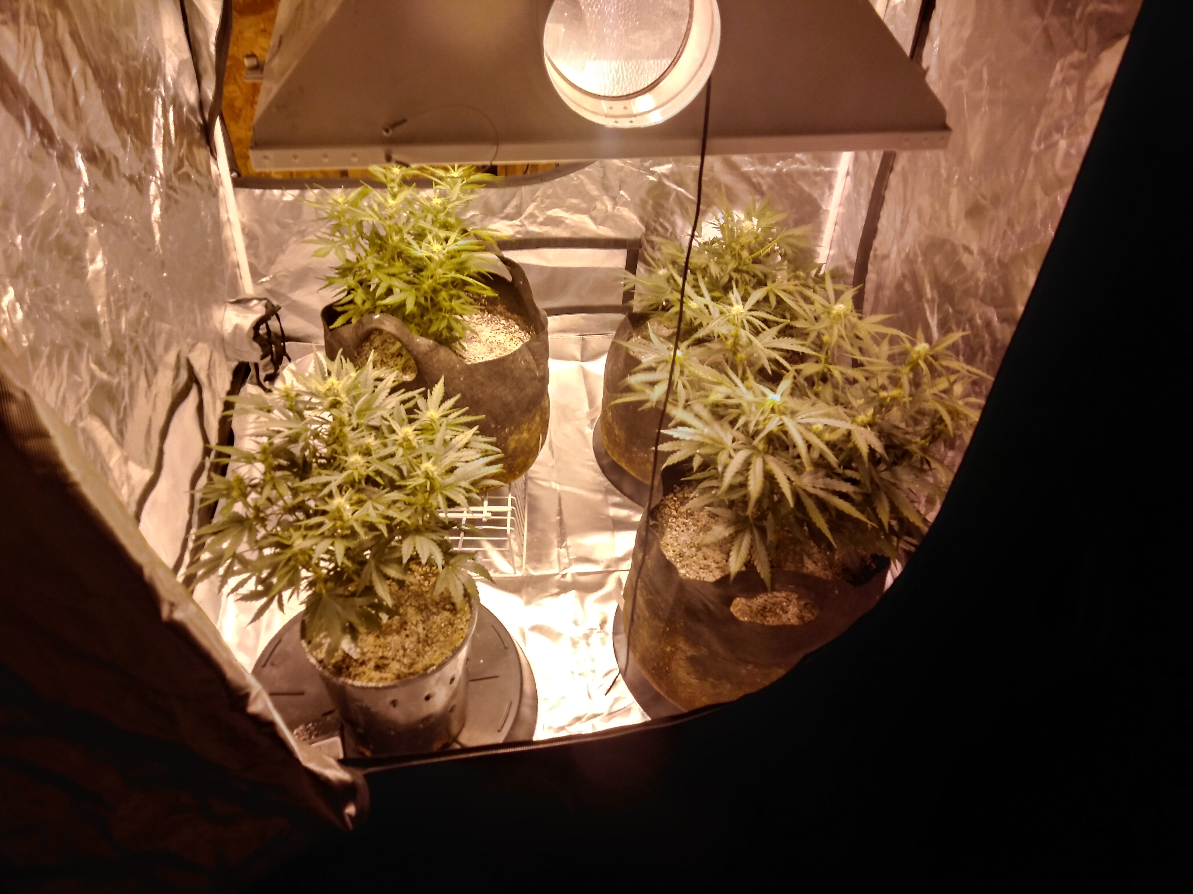 20180920_090850_HDR.jpg
