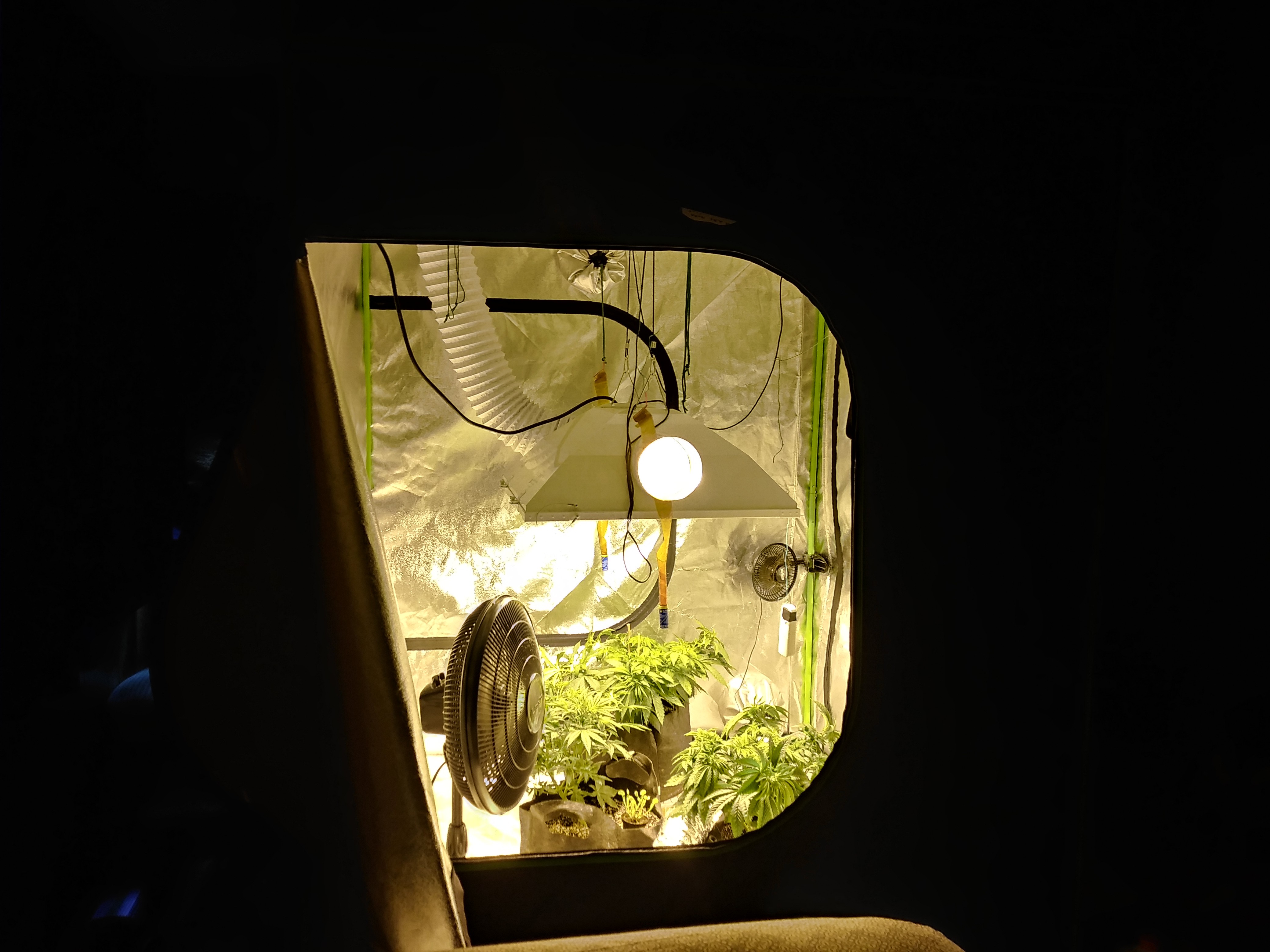 20180920_105158_HDR.jpg