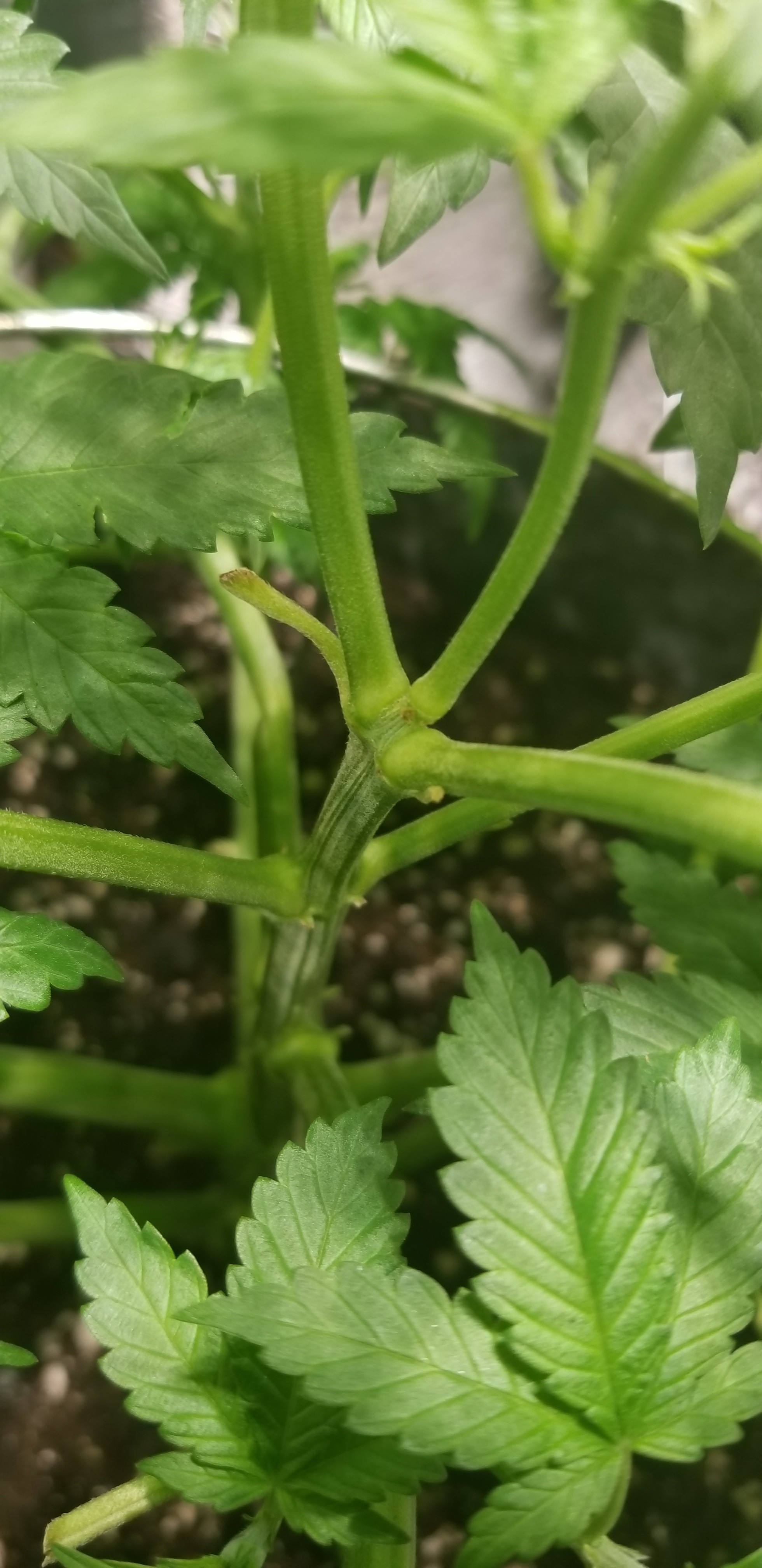 20180921_224022.jpg