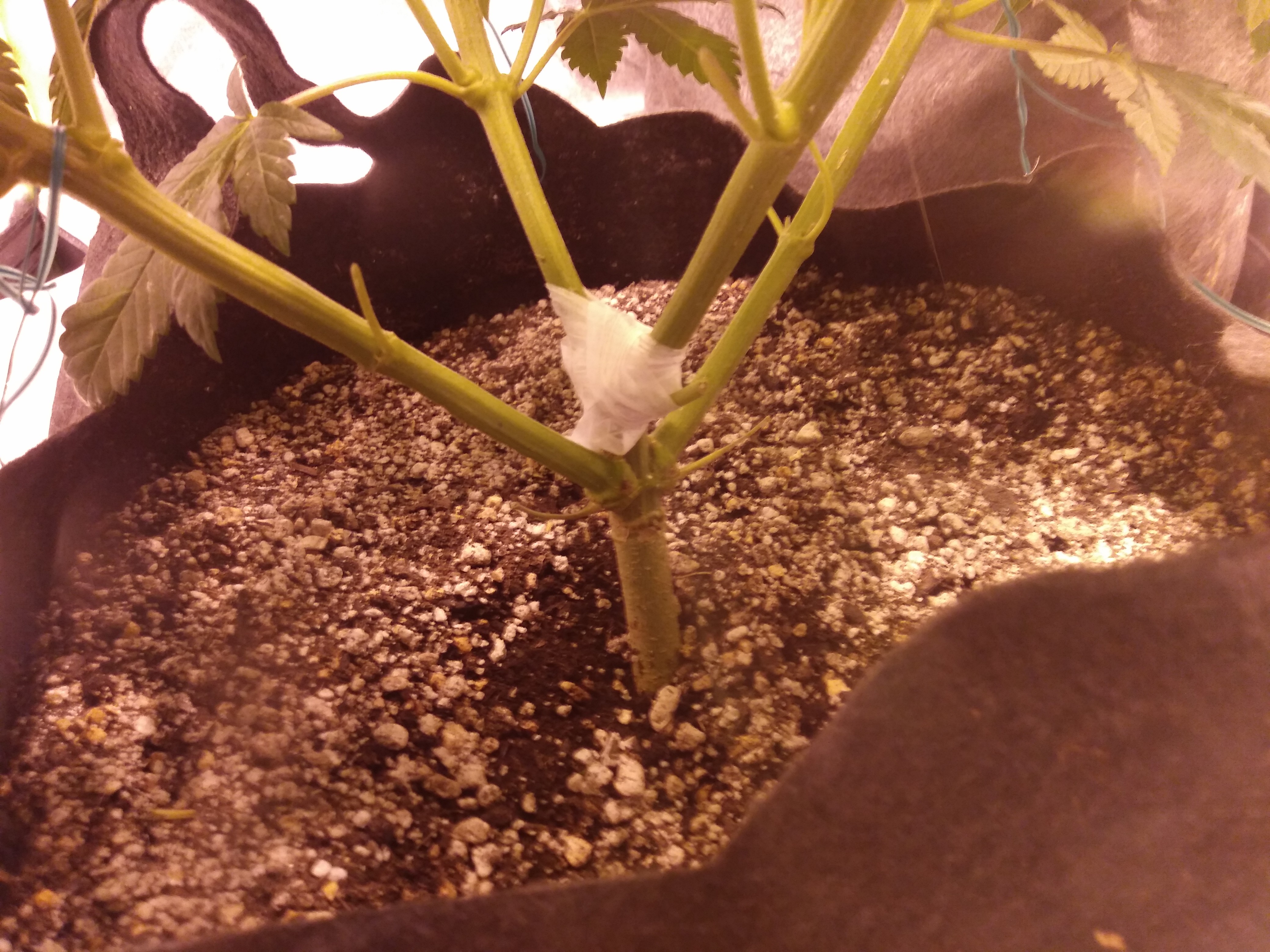 20180924_065158.jpg