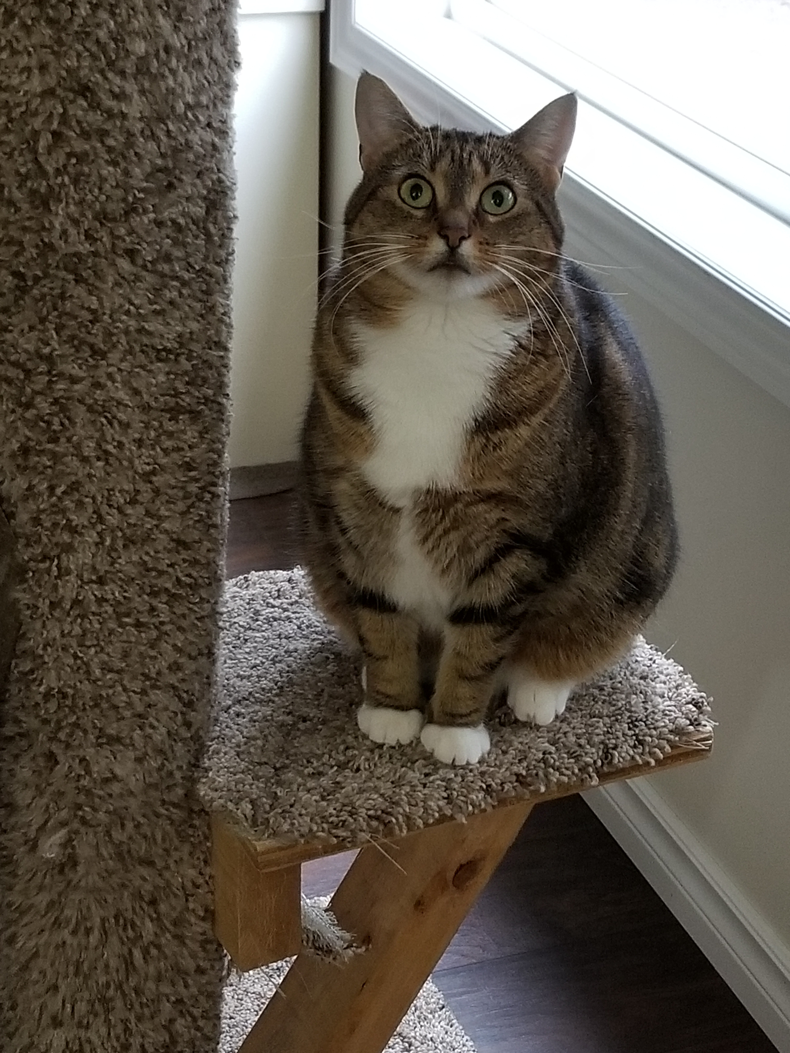 20180924_091420.jpg