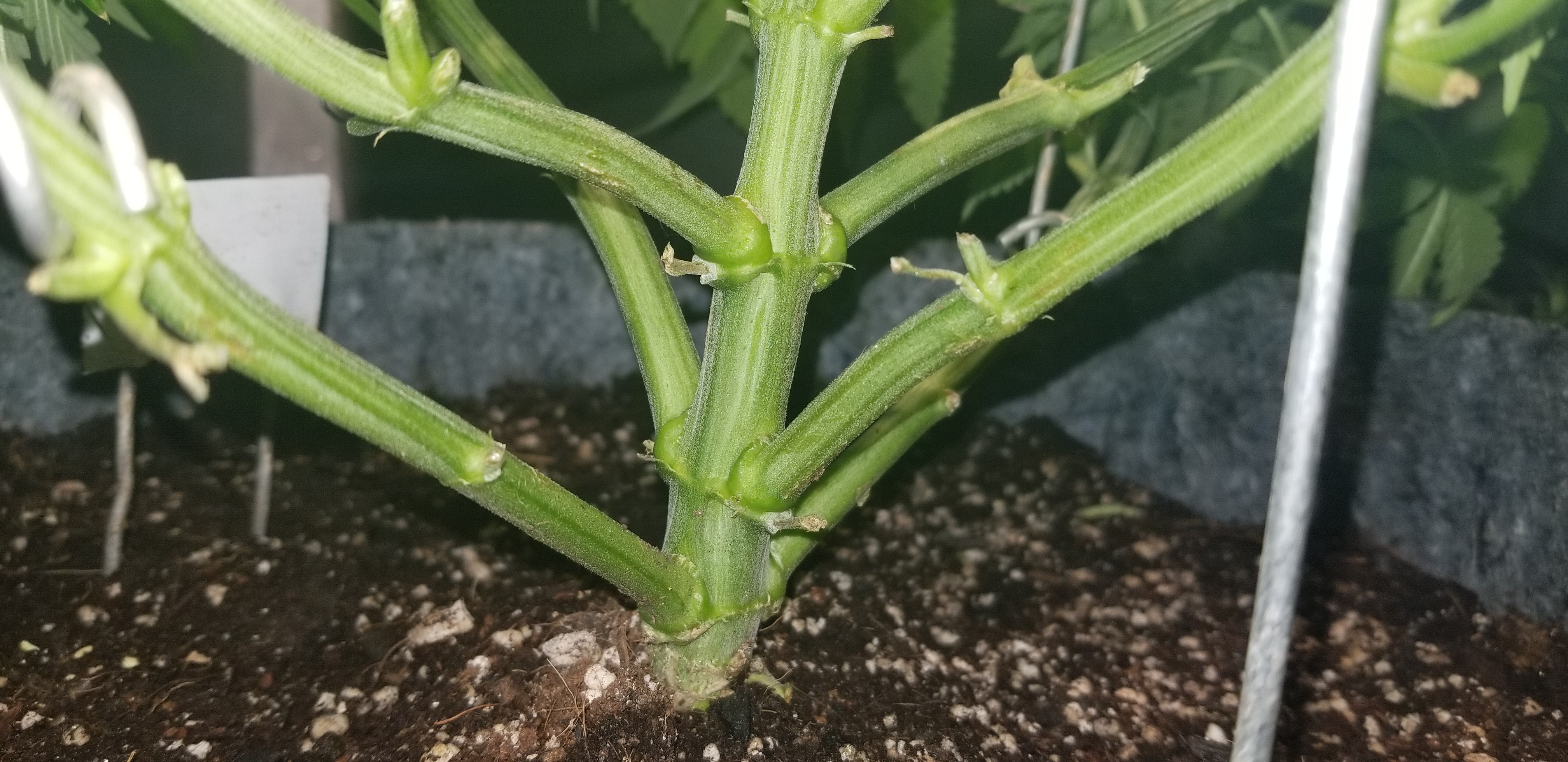 20180927_235647.jpg