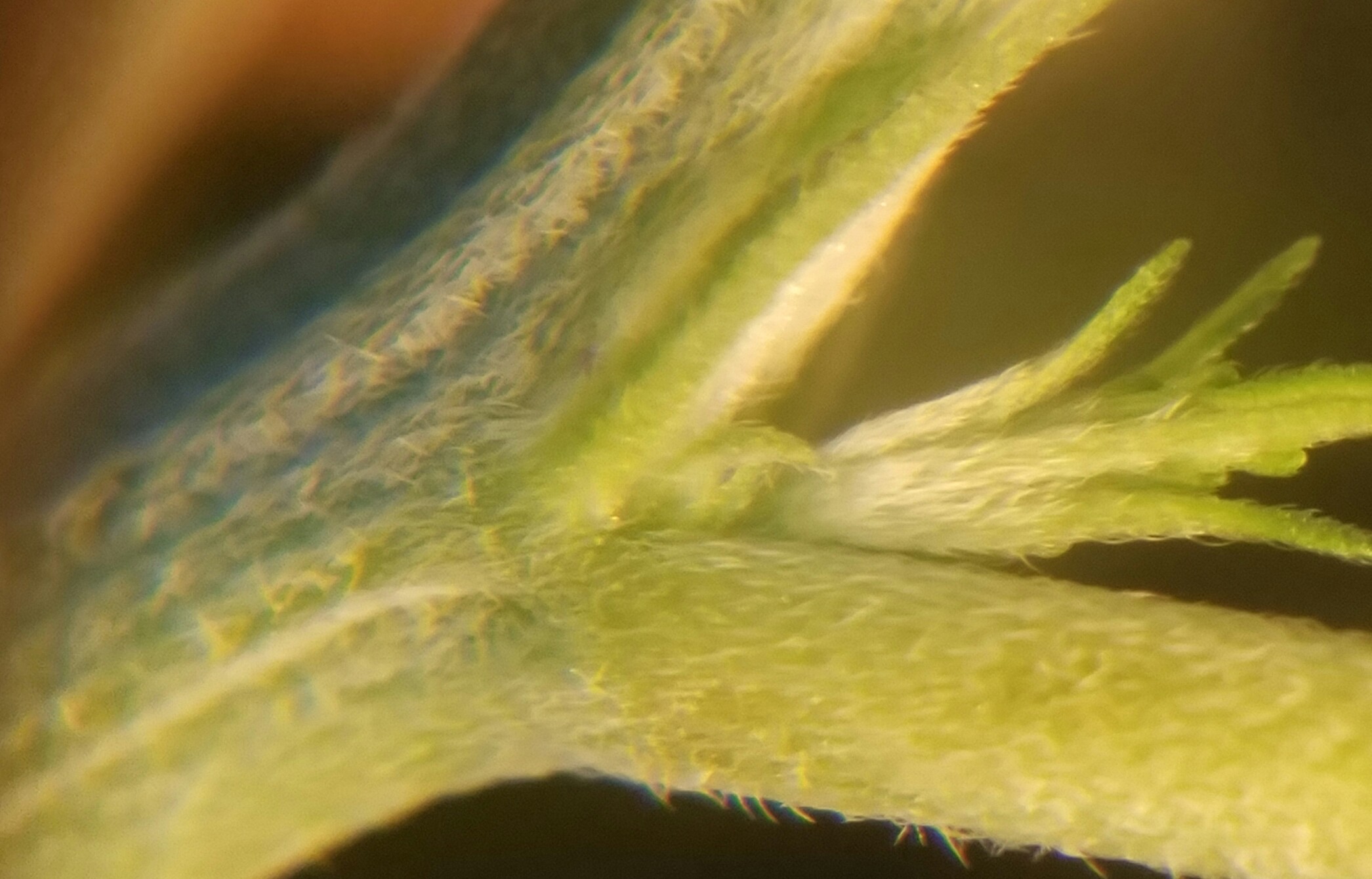 20180928_020326.jpg