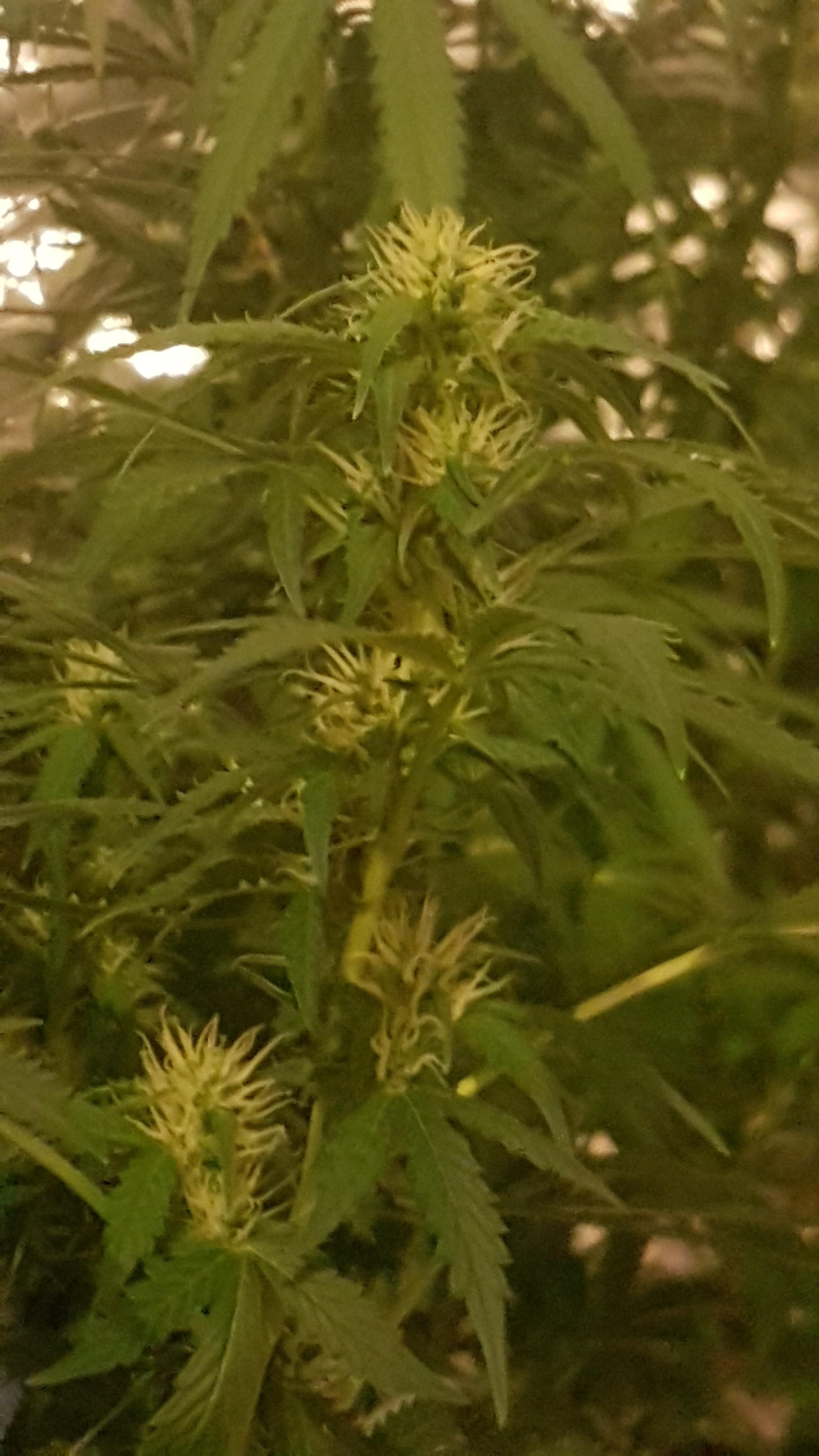 20180928_144439.jpg