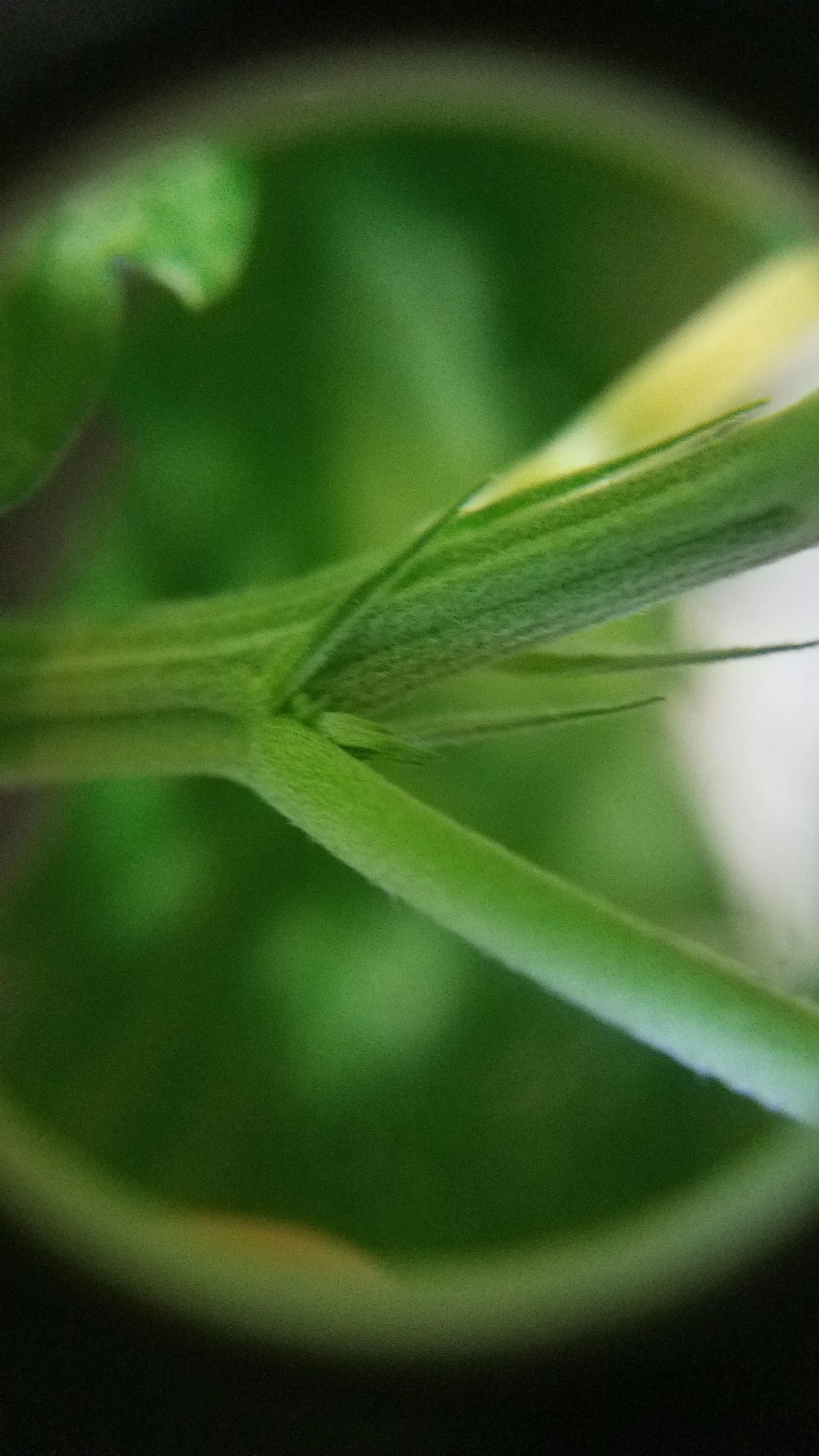 20180929_223136.jpg