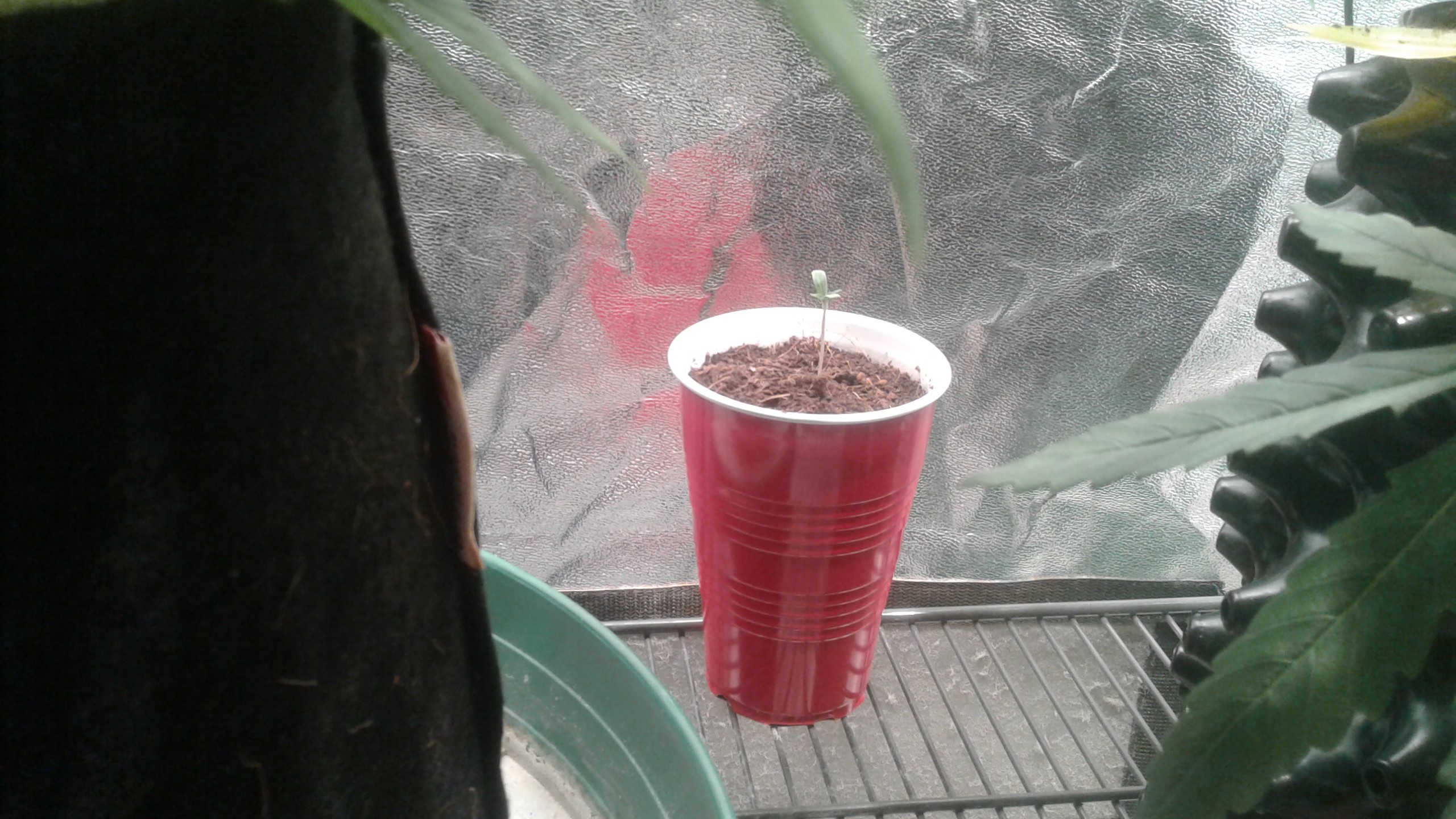 20180930_073414.jpg
