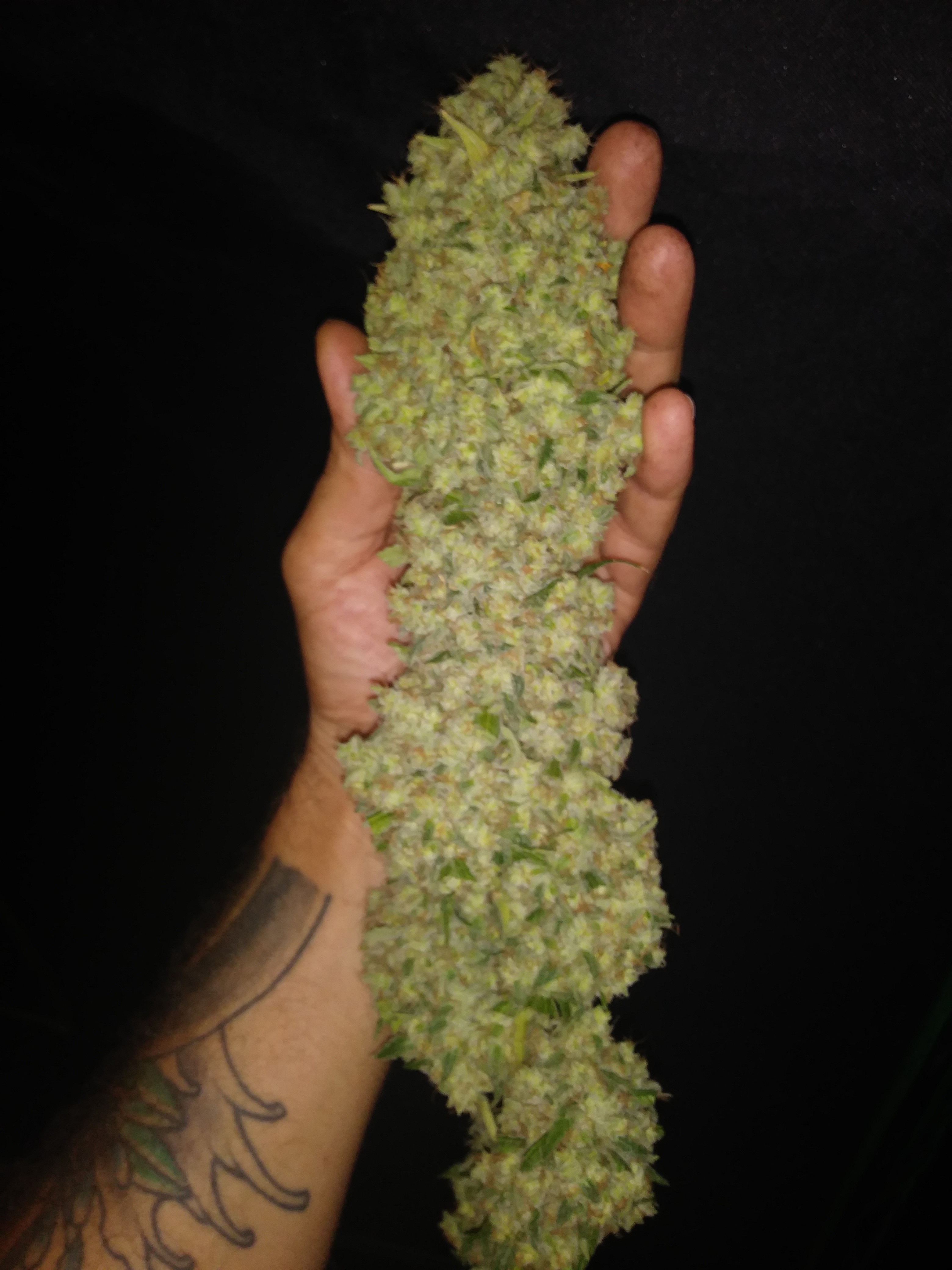 20181001_101514.jpg