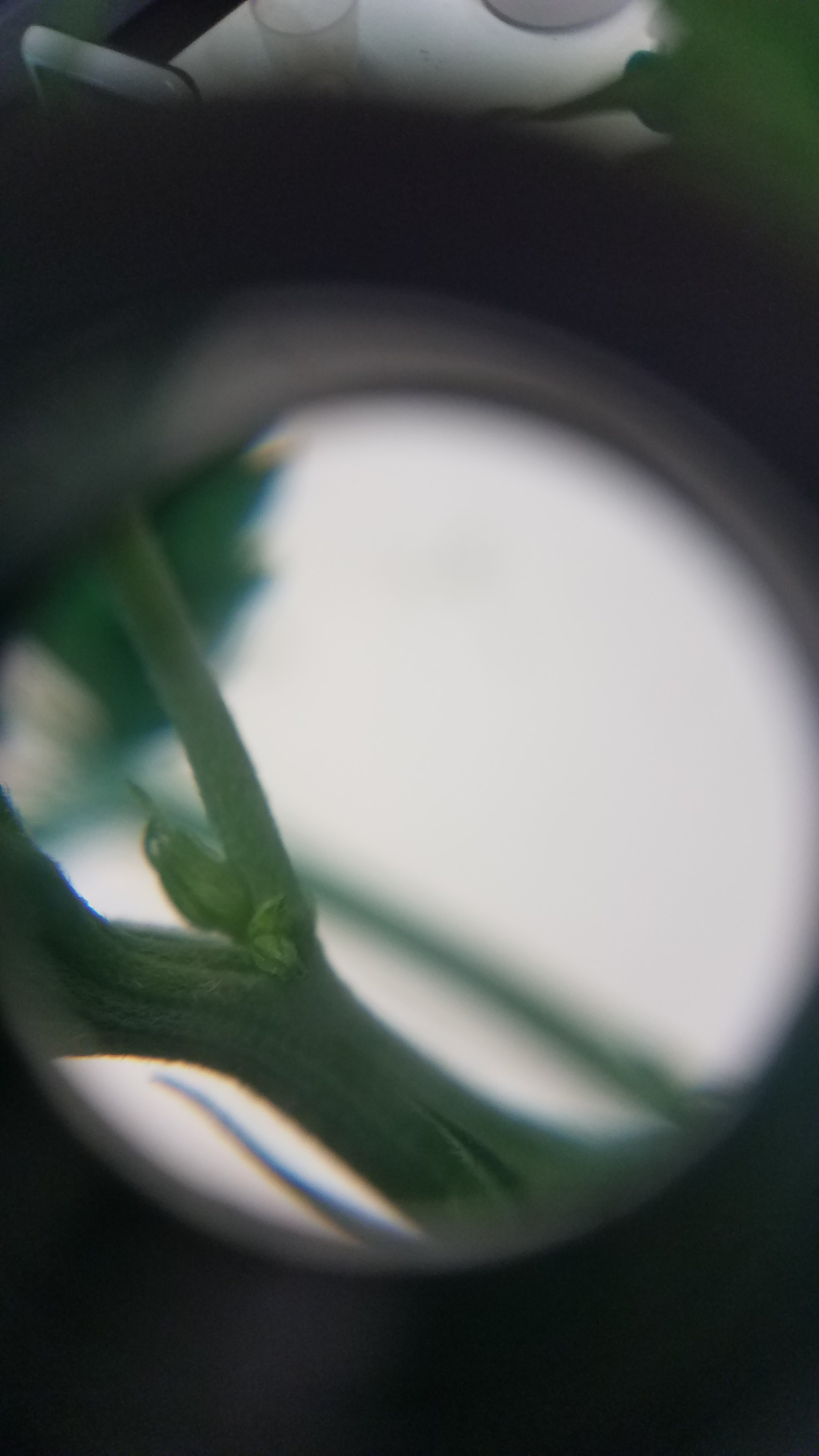 20181003_185951.jpg