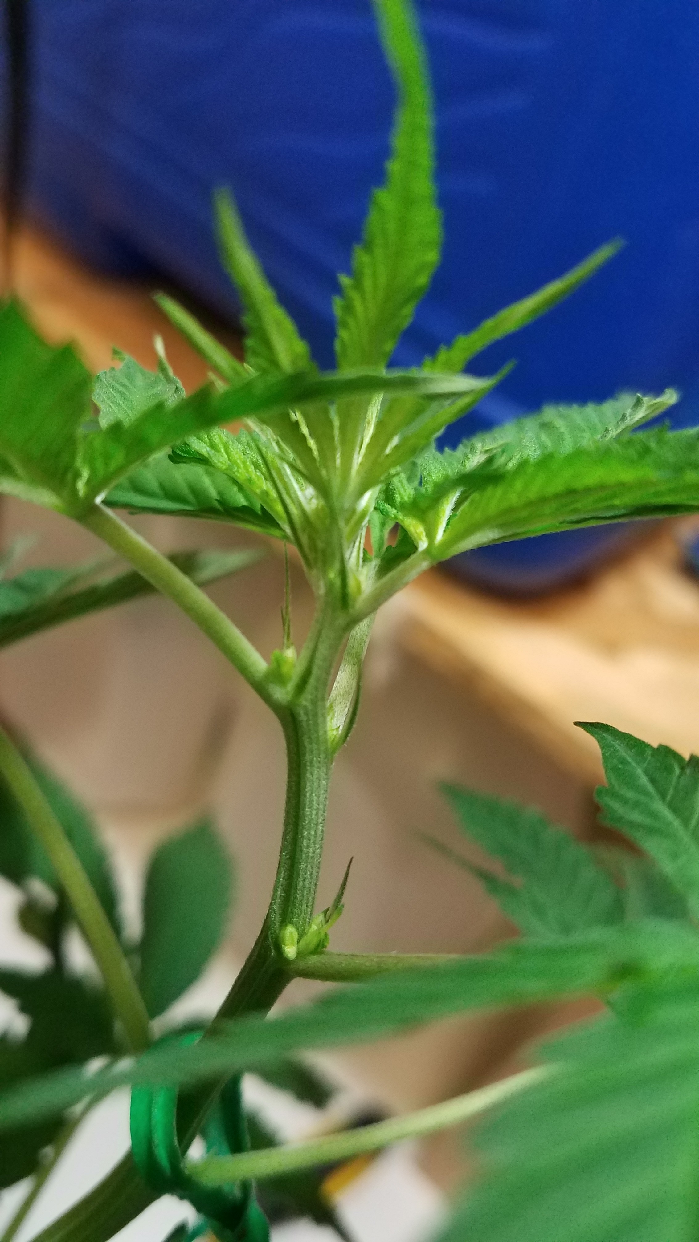 20181003_190153.jpg