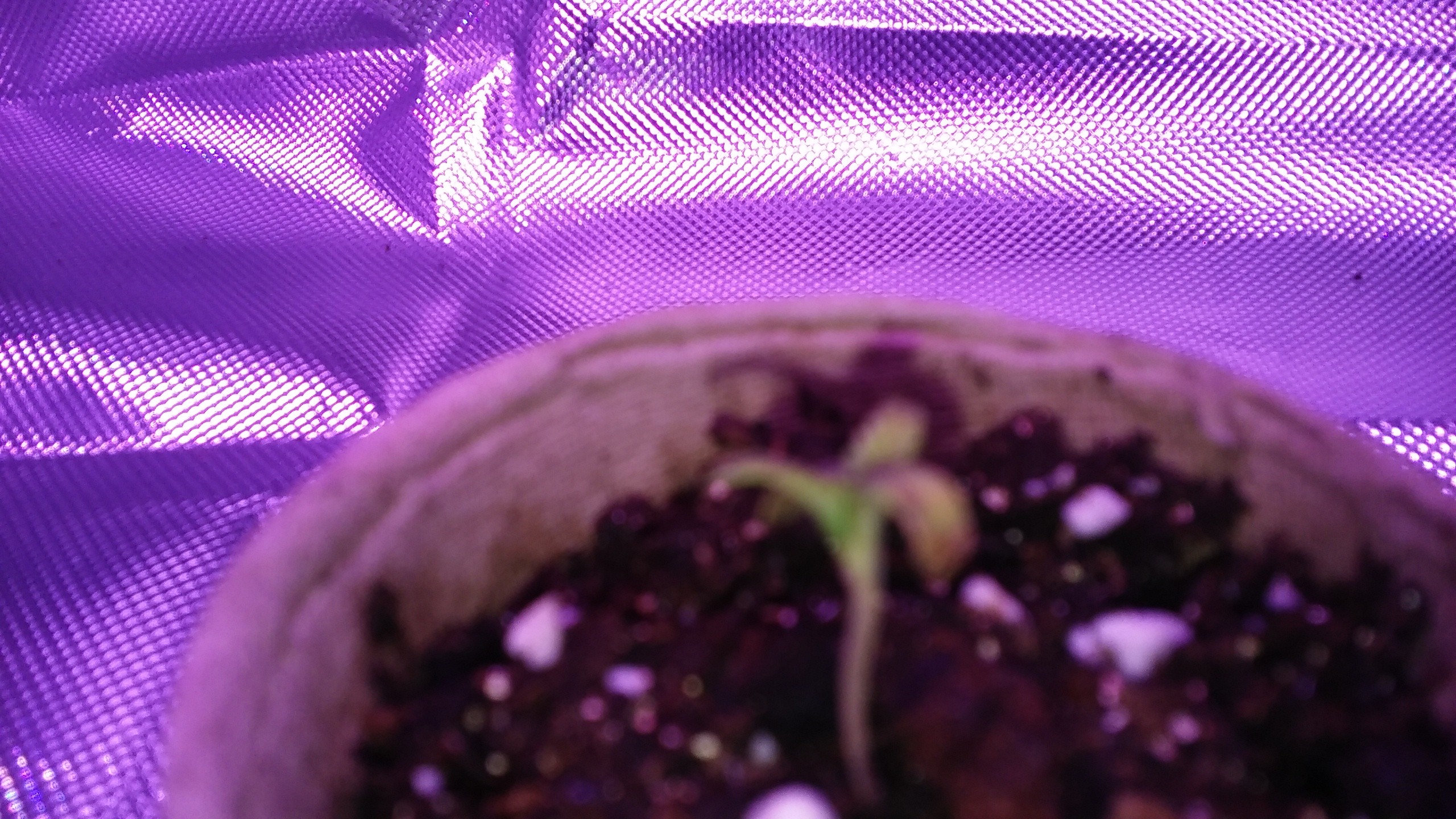 20181006_100145.jpg