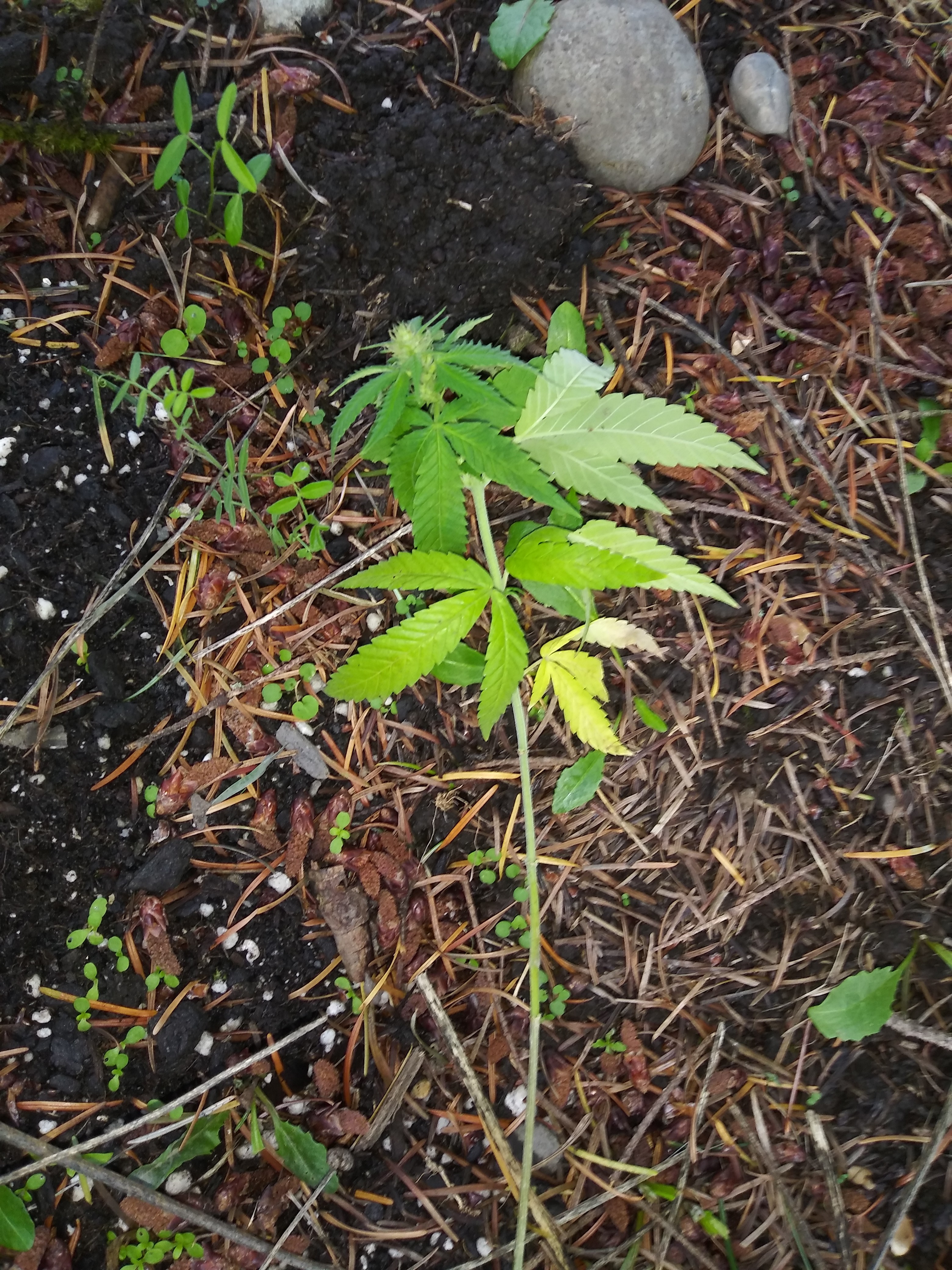 20181006_174955.jpg