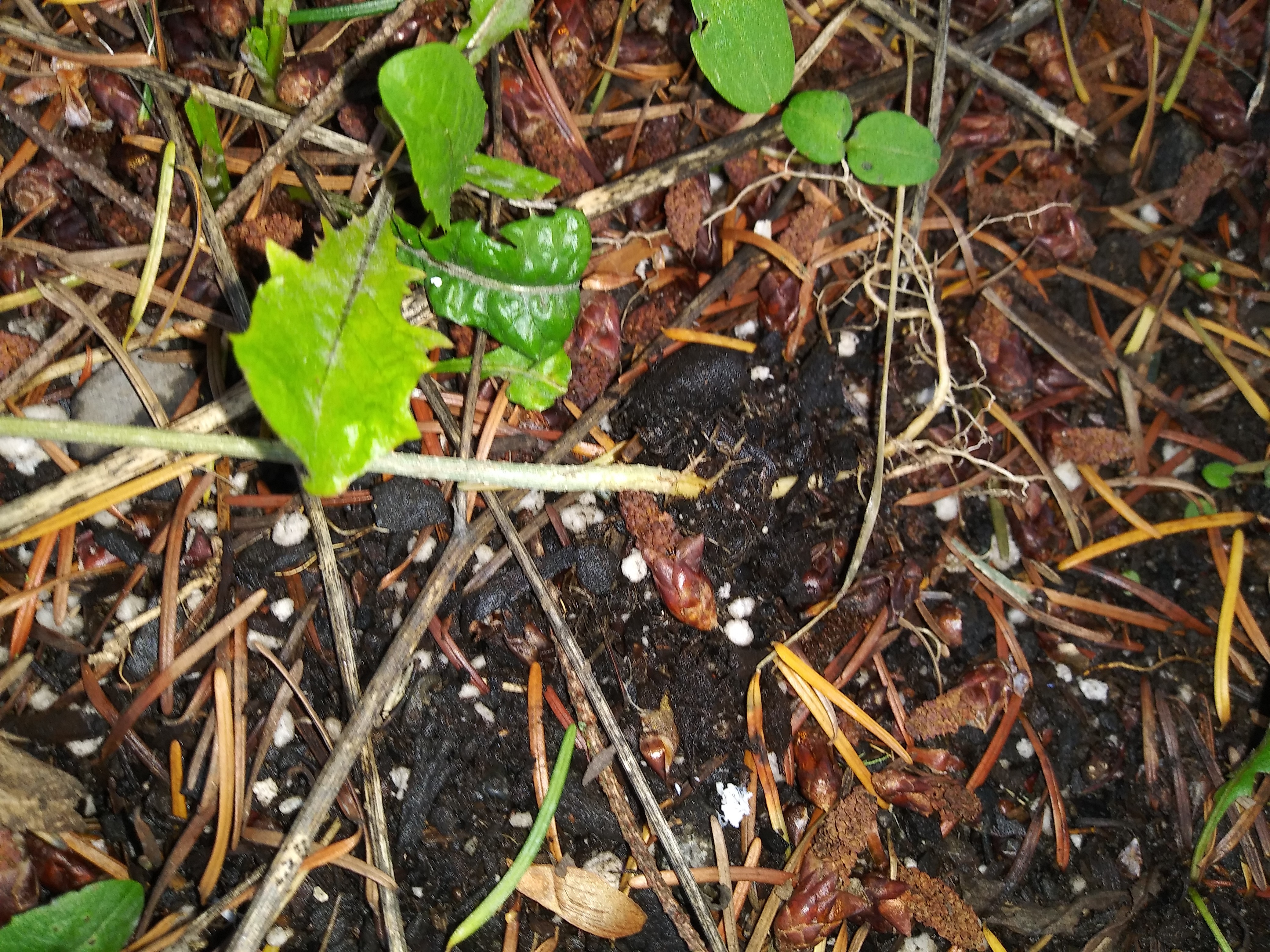 20181006_174959.jpg