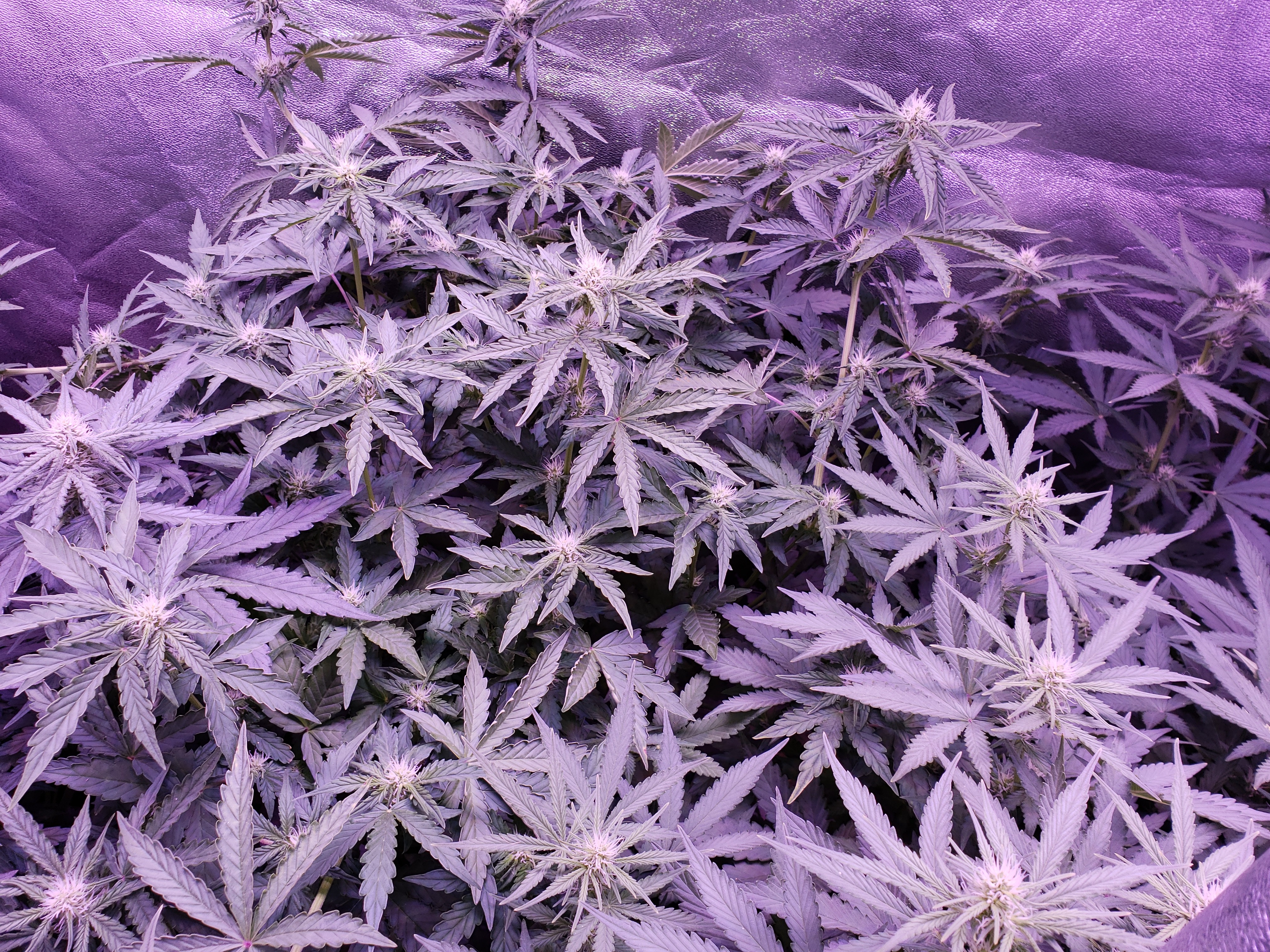 20181012_151849.jpg