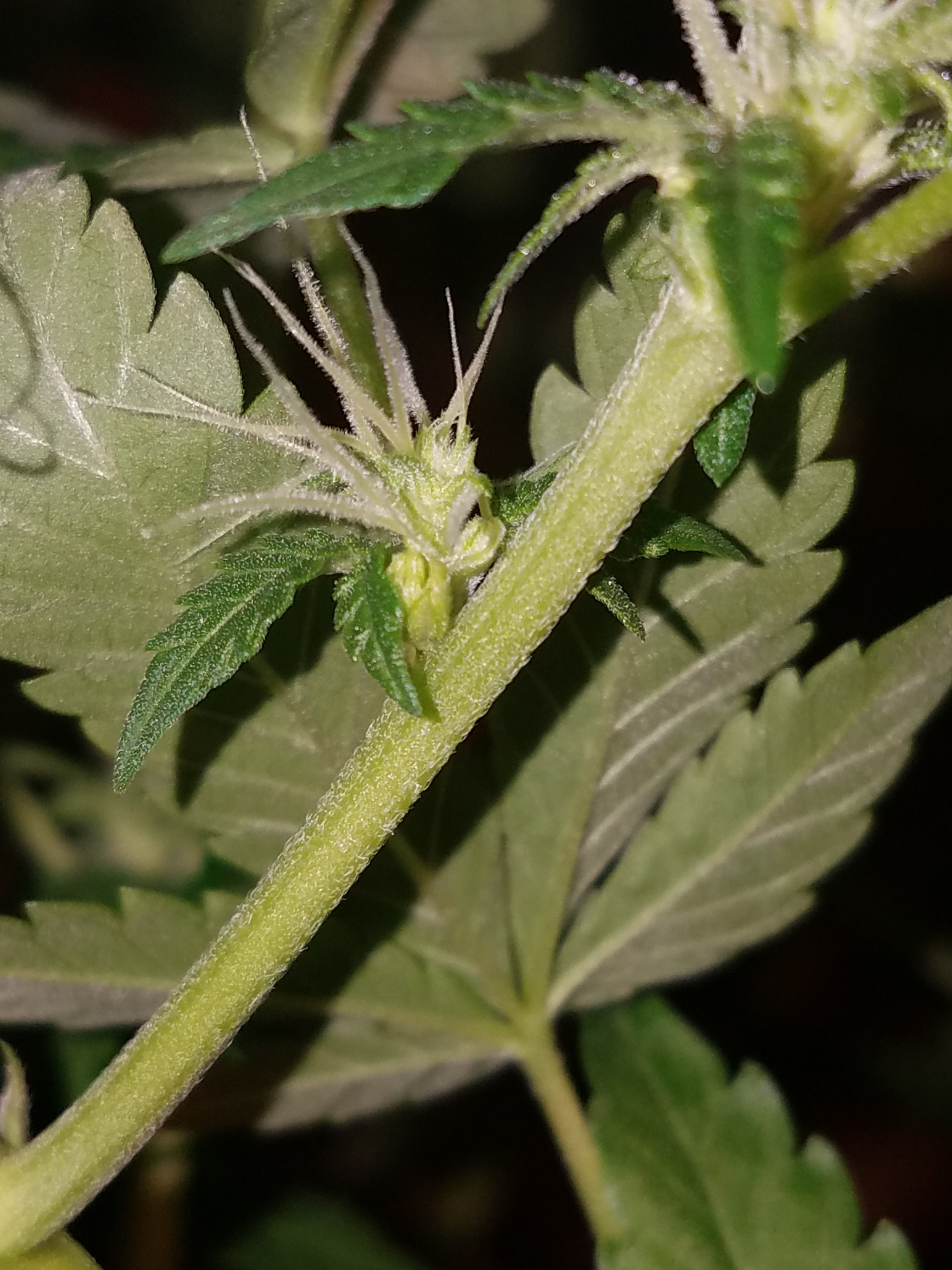 20181017_200626.jpg