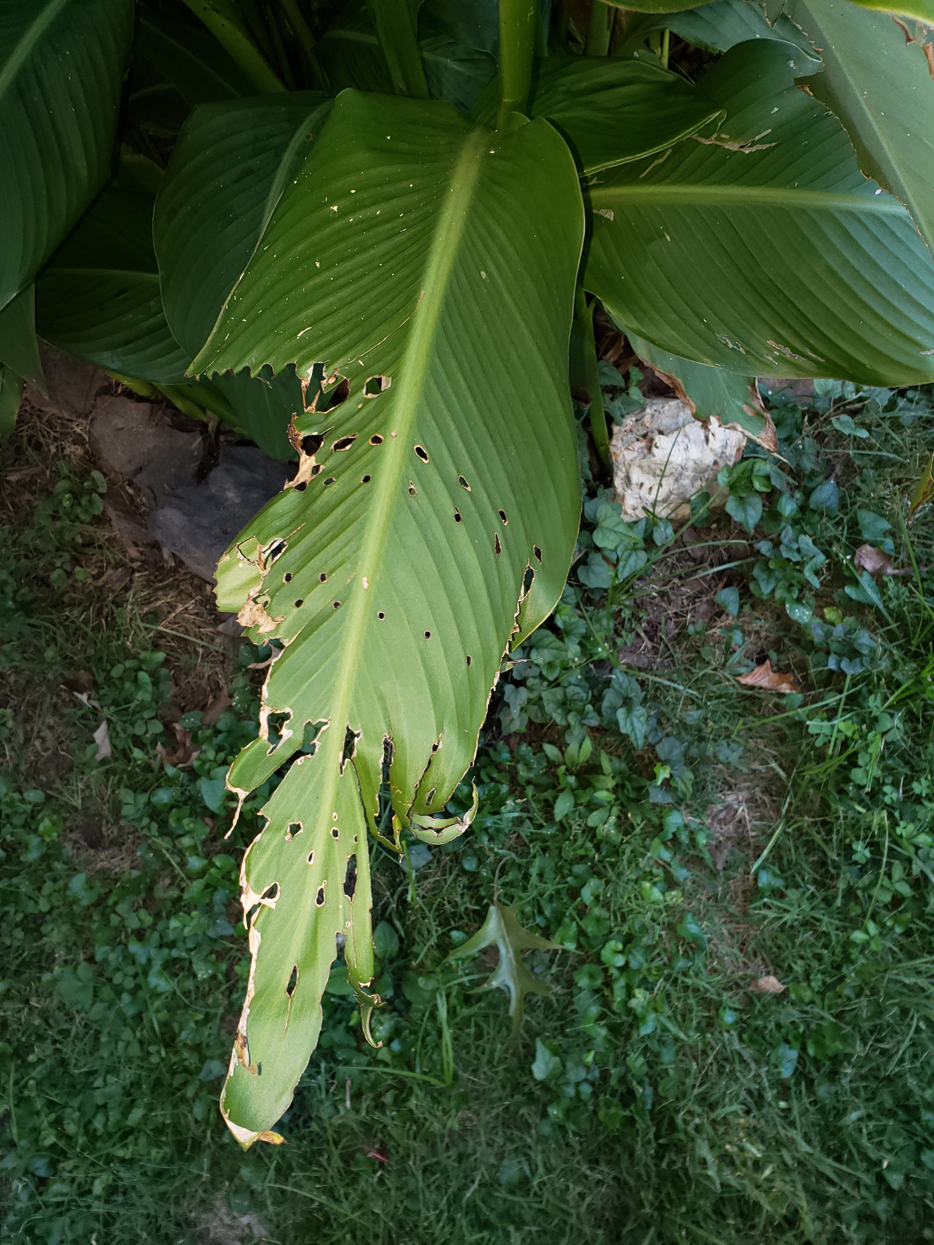 20181021_164708.jpg