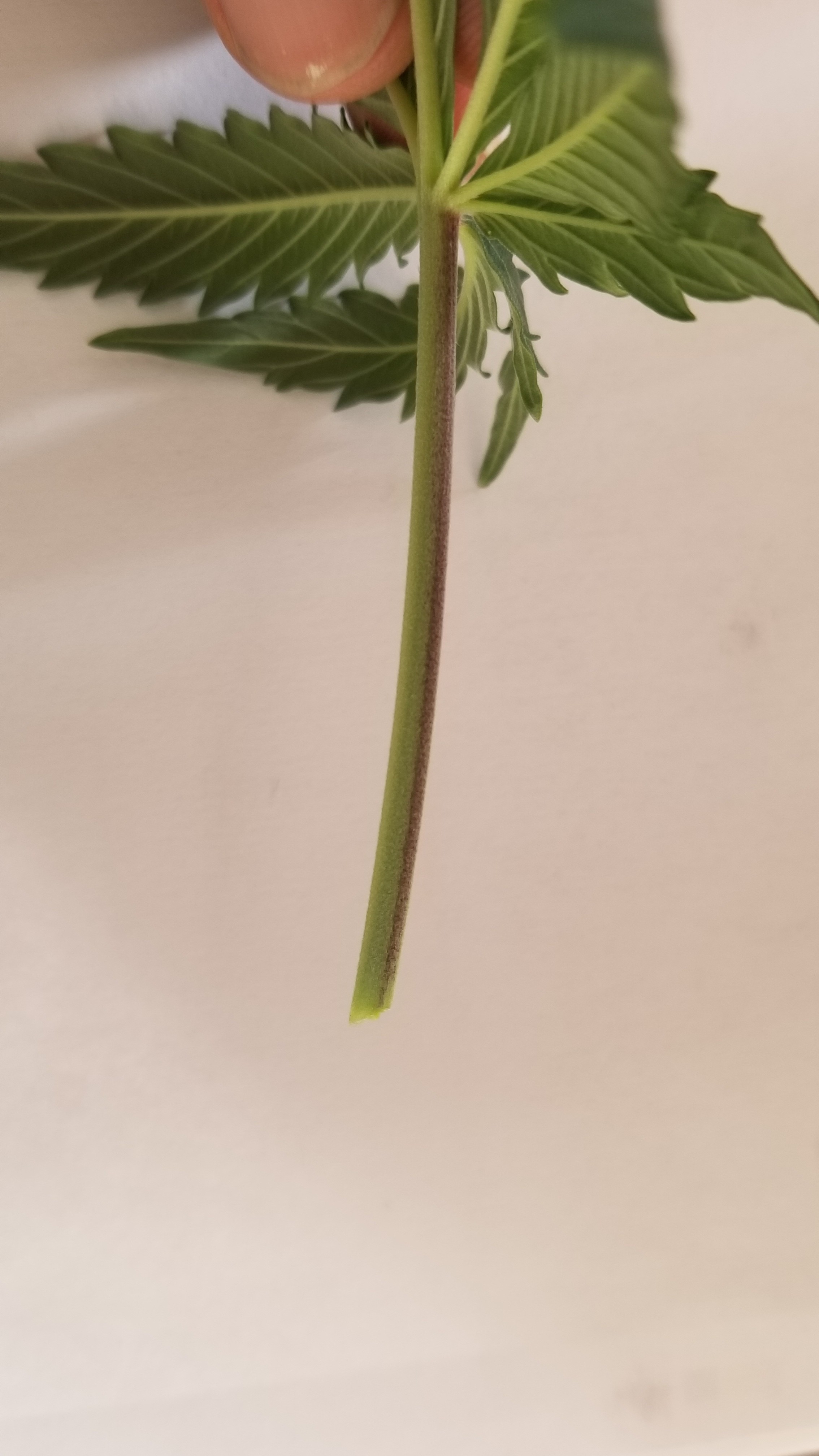 20181031_110334.jpg