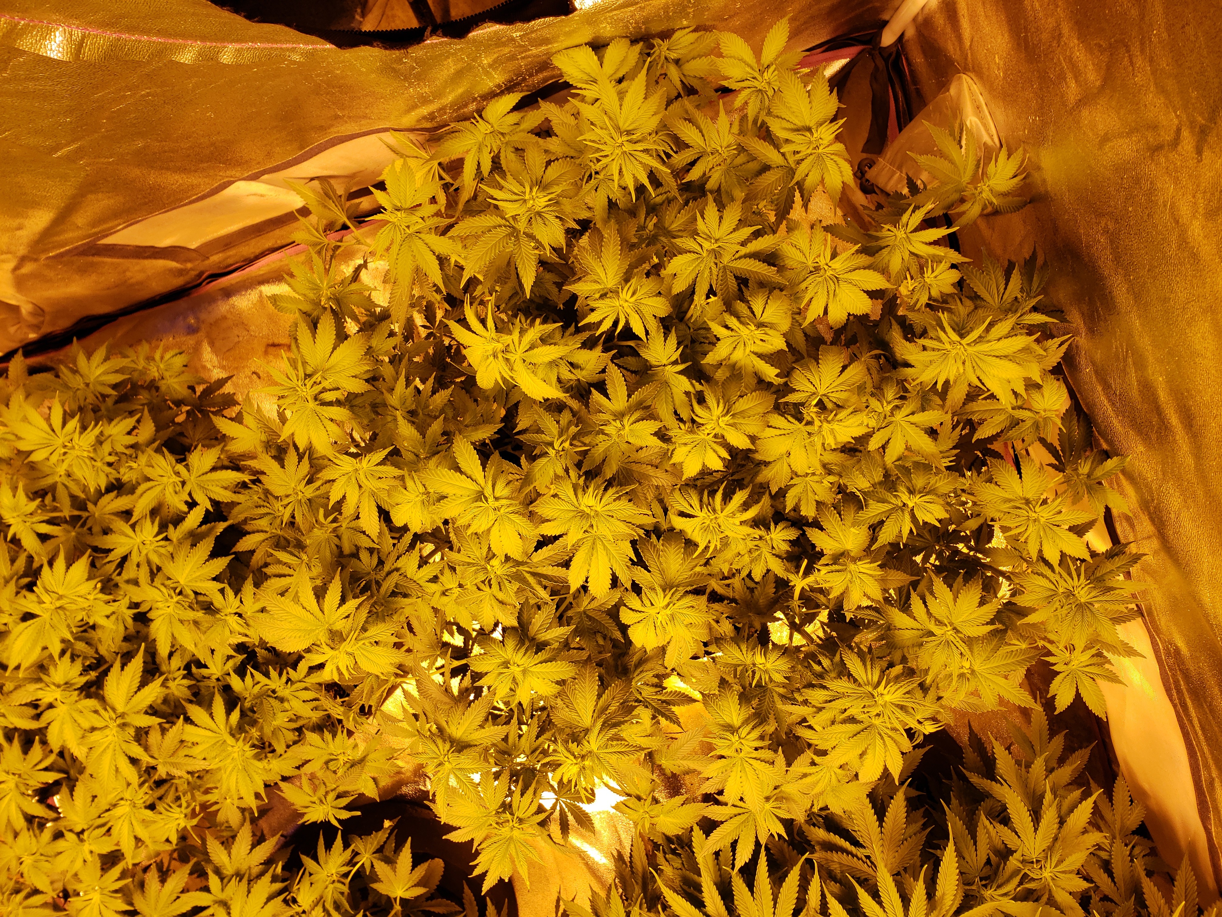 20181104_134902.jpg