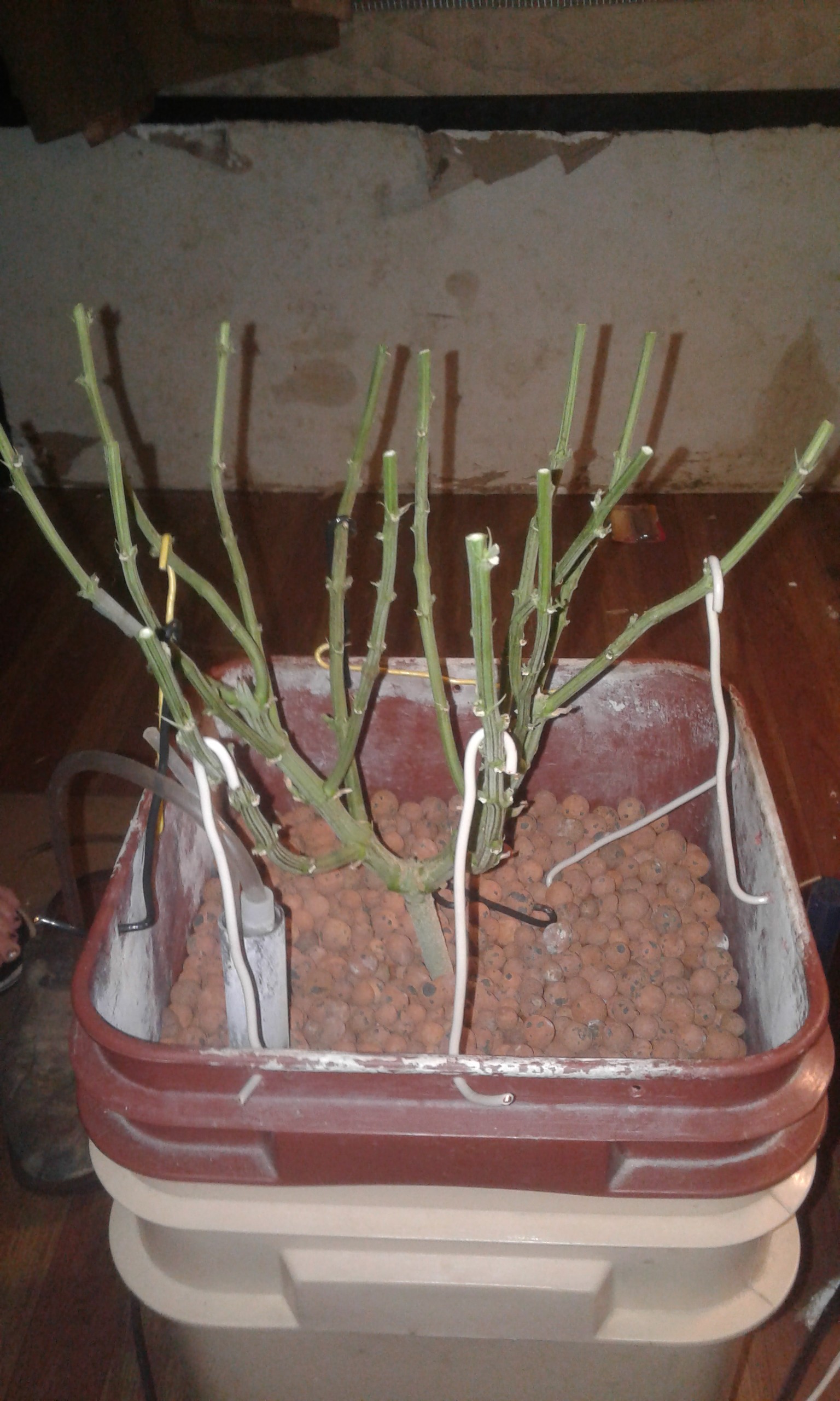 20181106_230950.jpg
