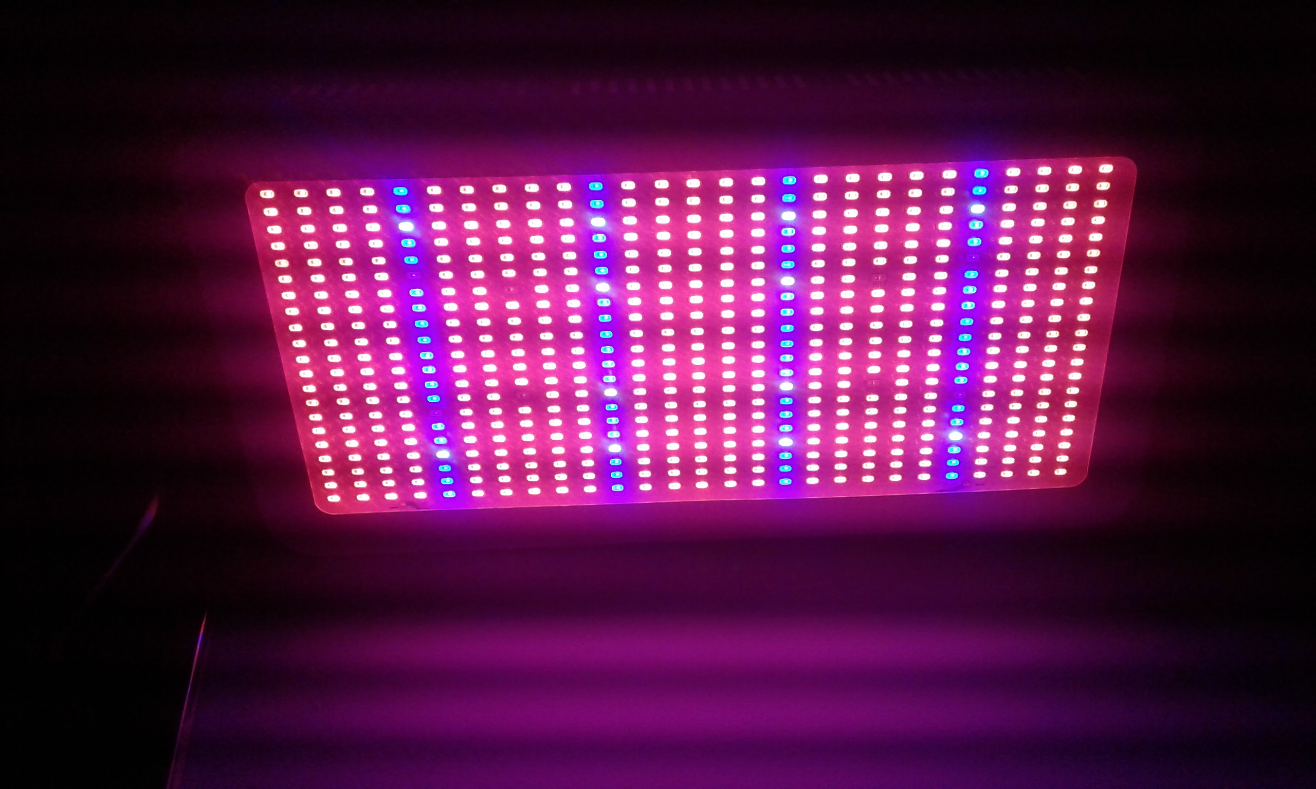 20181107_164457.jpg