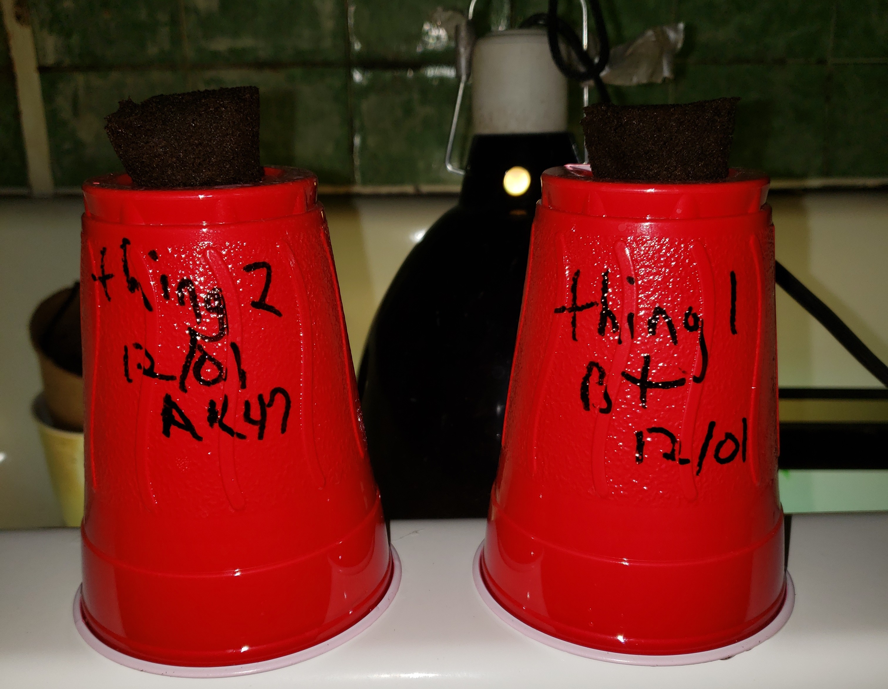 20181127_154653.jpg