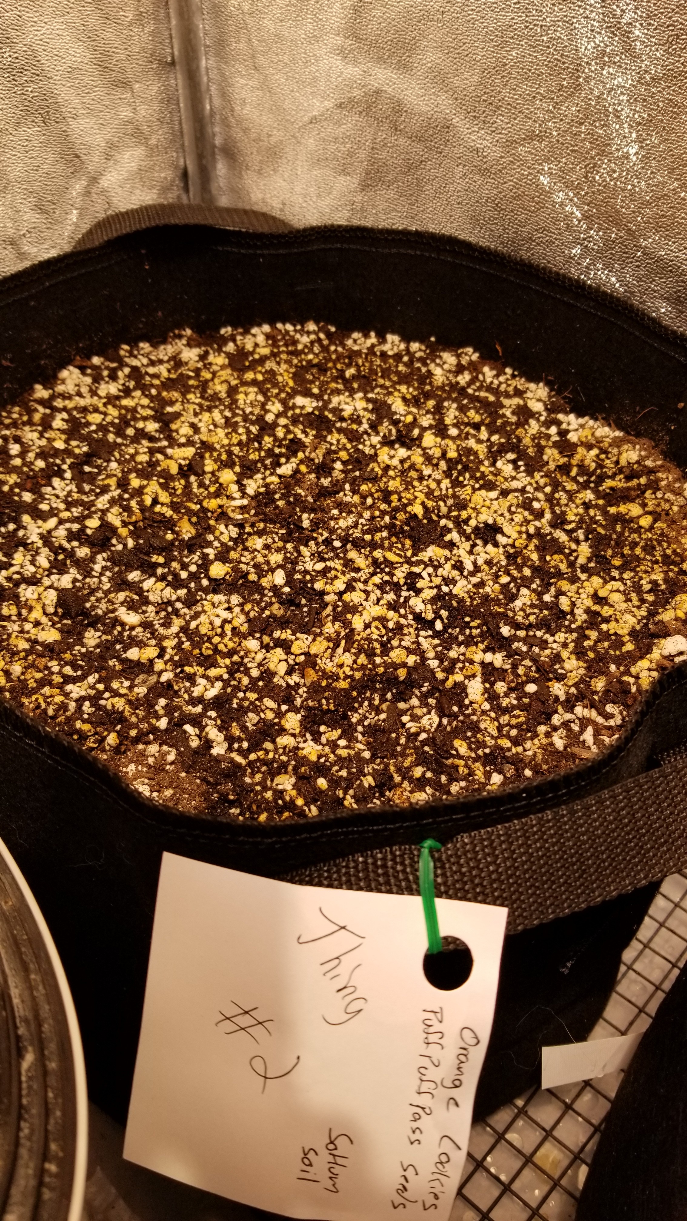 20181205_220710.jpg