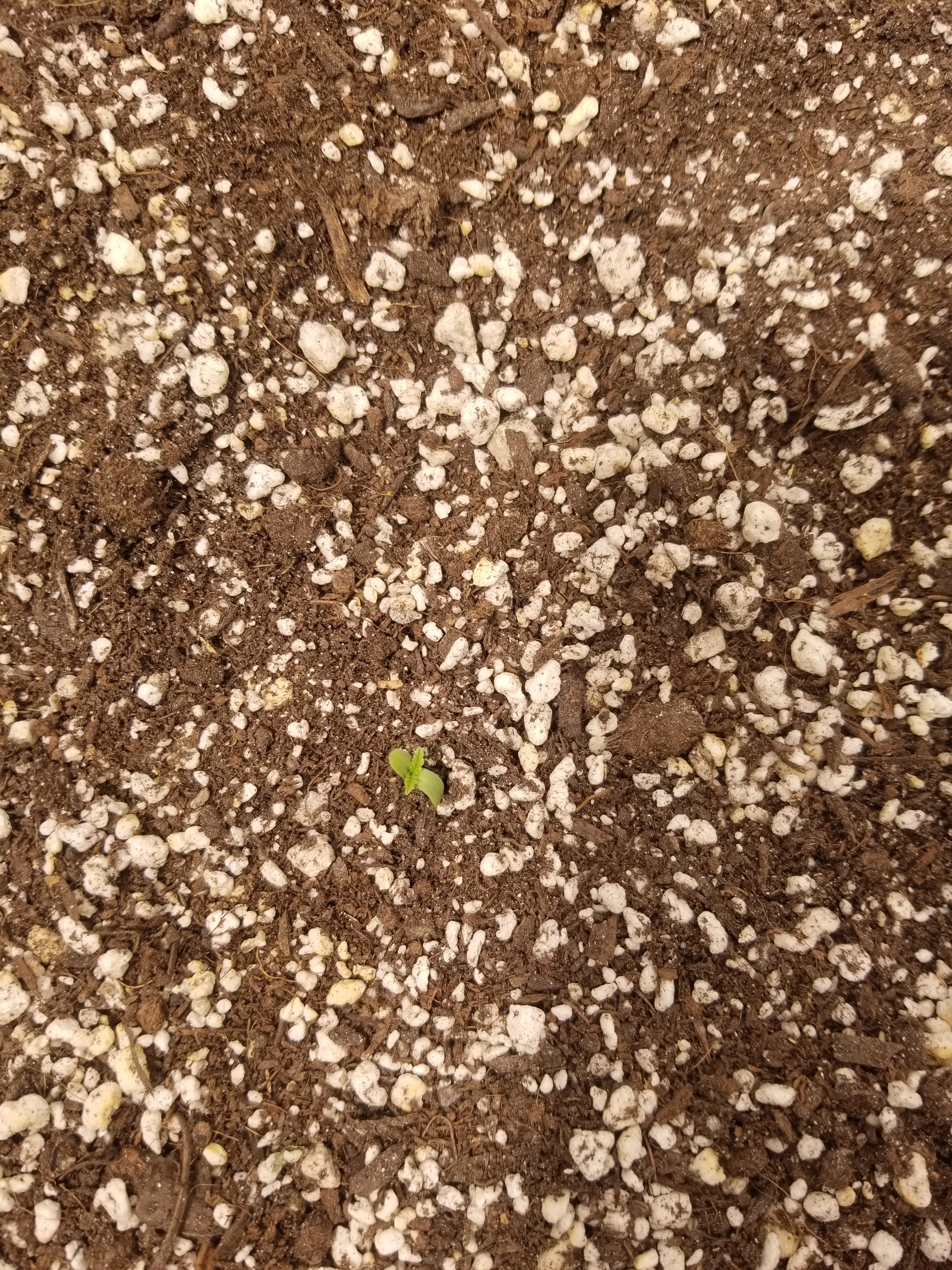 20181207_095555.jpg