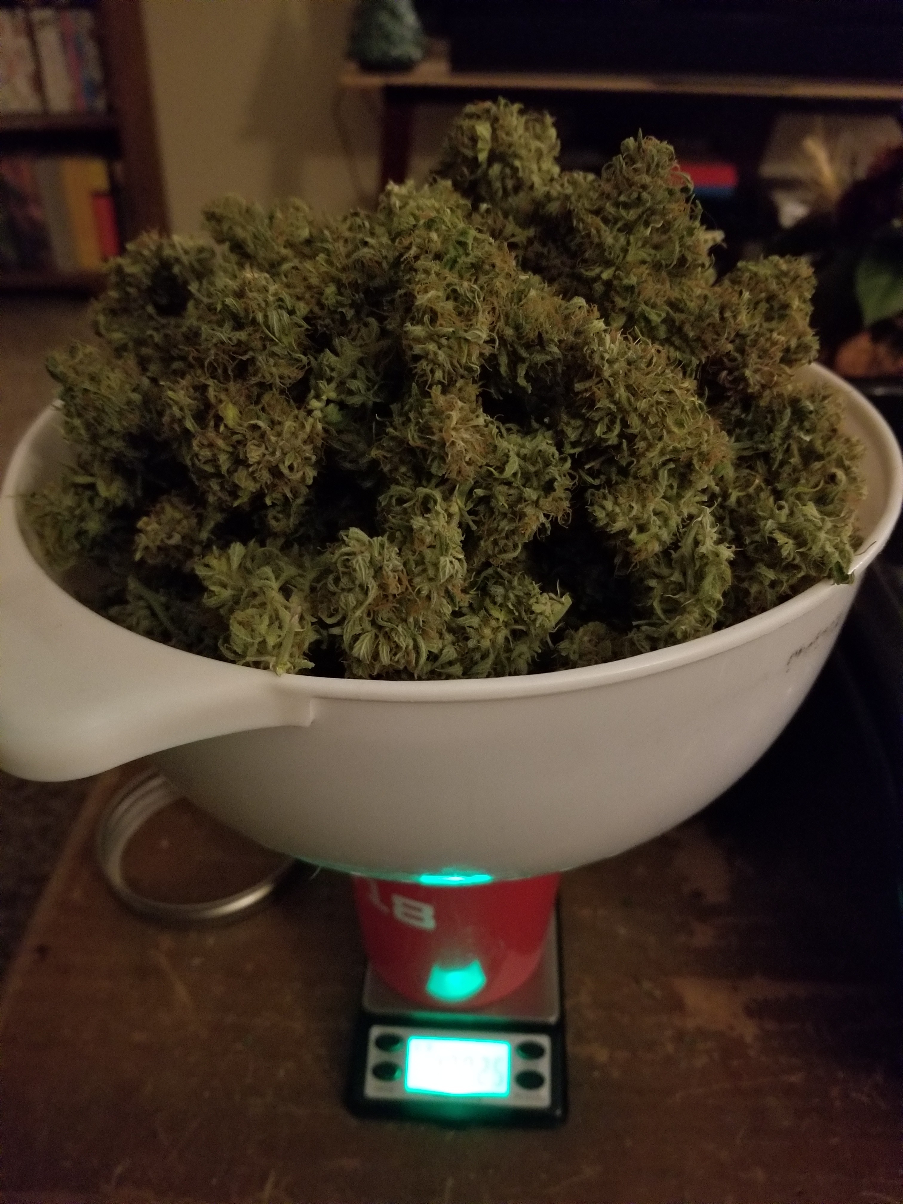 20181216_192146.jpg