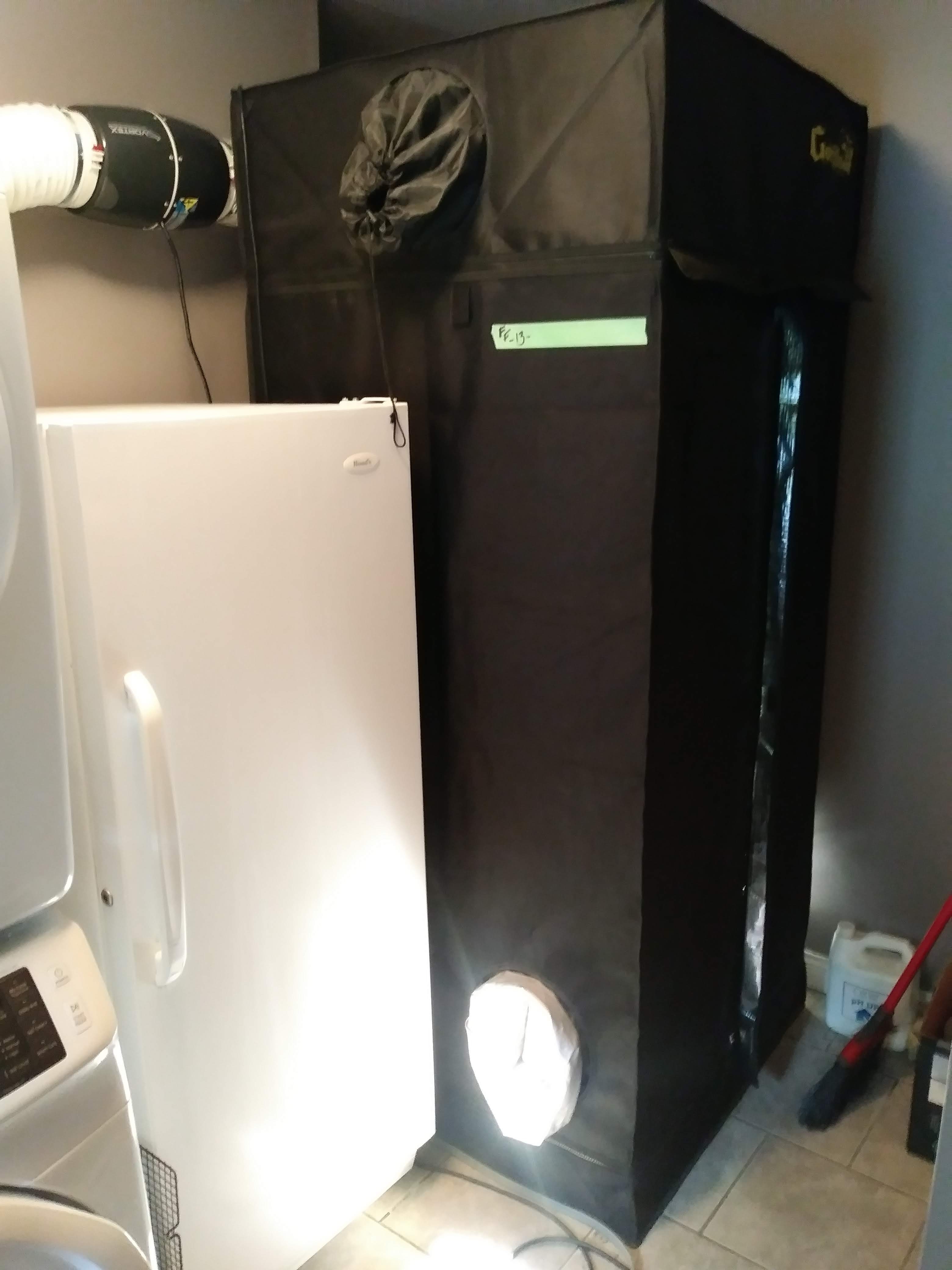 20181217_103254.jpg