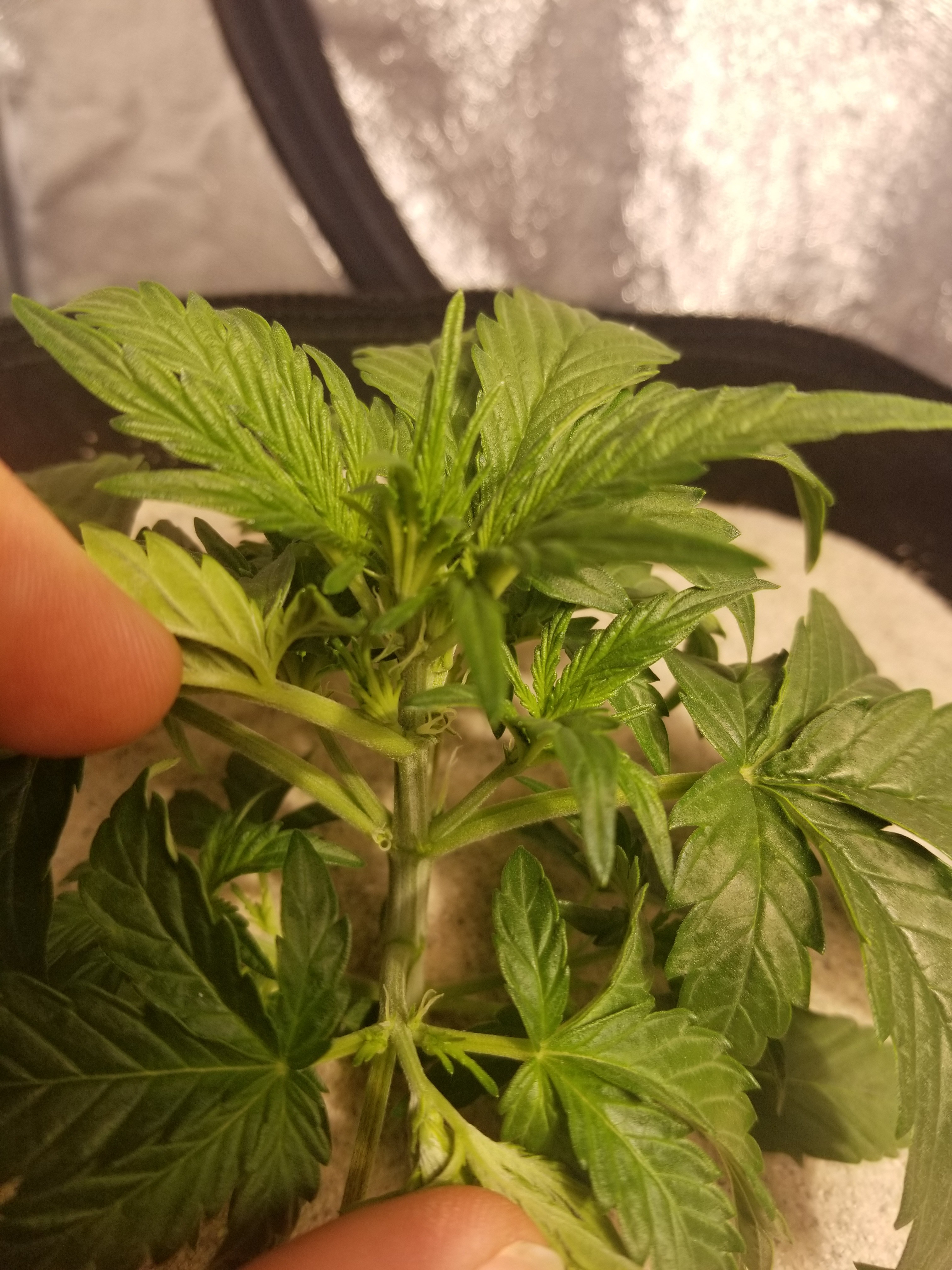 20181225_143903.jpg