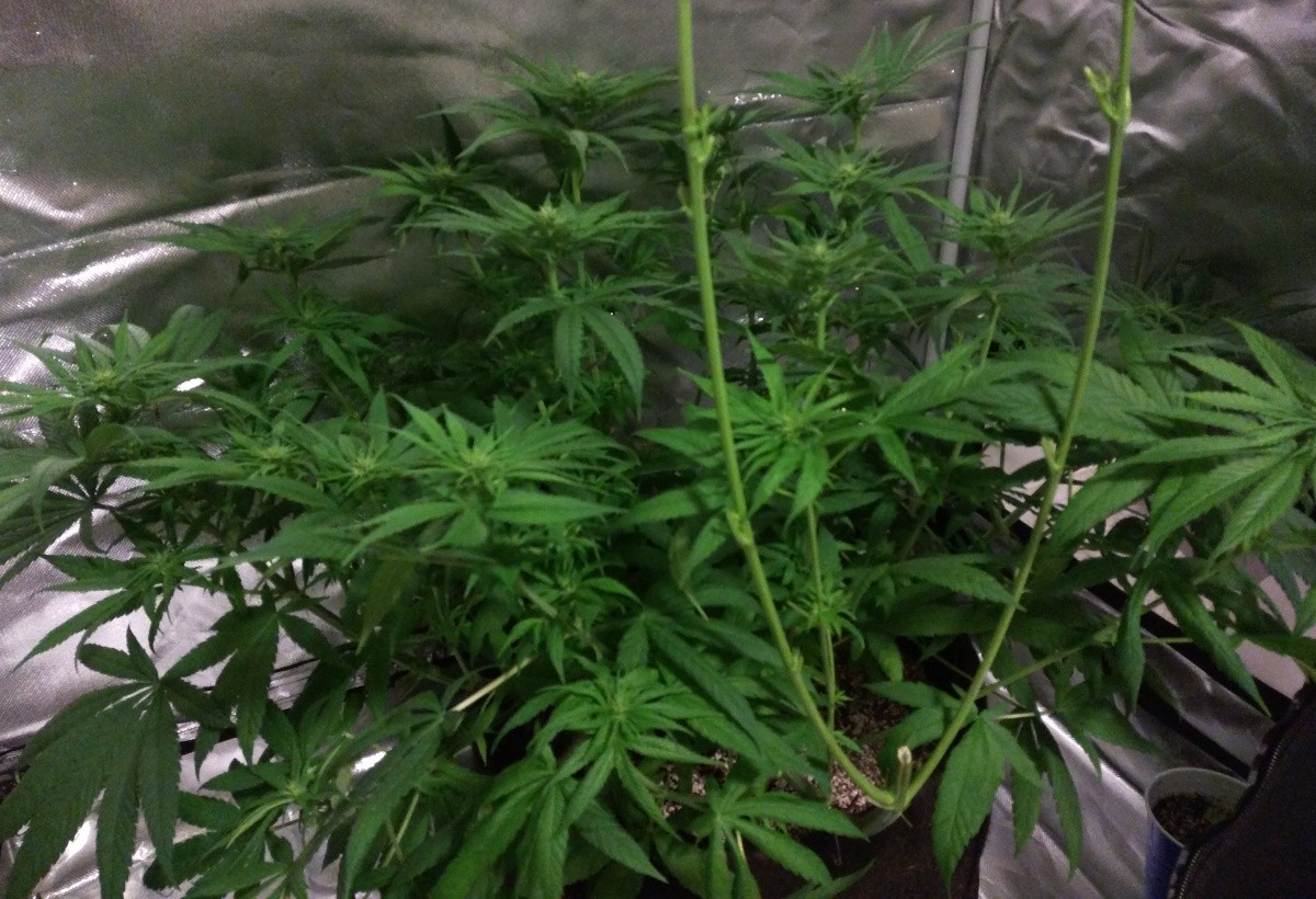2019-03-08 3.jpg