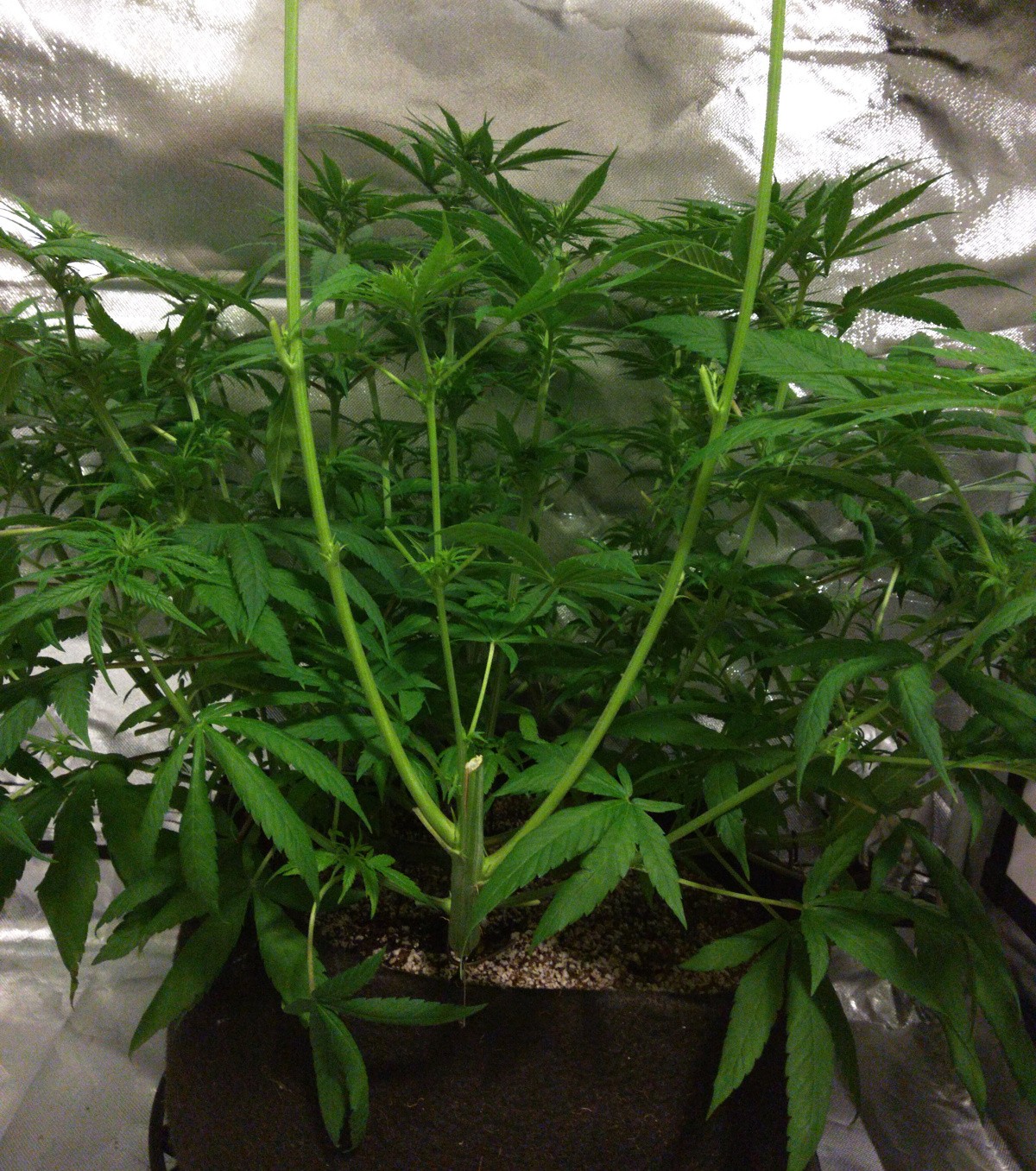 2019-03-08 4.jpg
