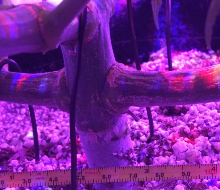 2019-04-07 1.jpg