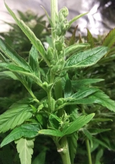 2019-04-07 3.jpg