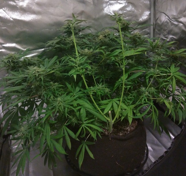2019-04-07 5.jpg