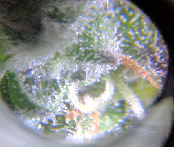 2019-04-07 6.jpg