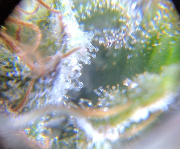 2019-04-07 7.jpg