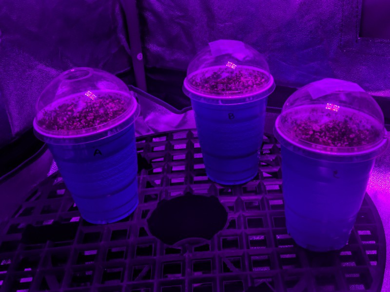 2019-04-12 2.jpg