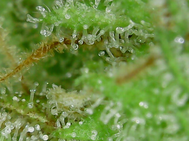 2019-04-25-161615.jpg
