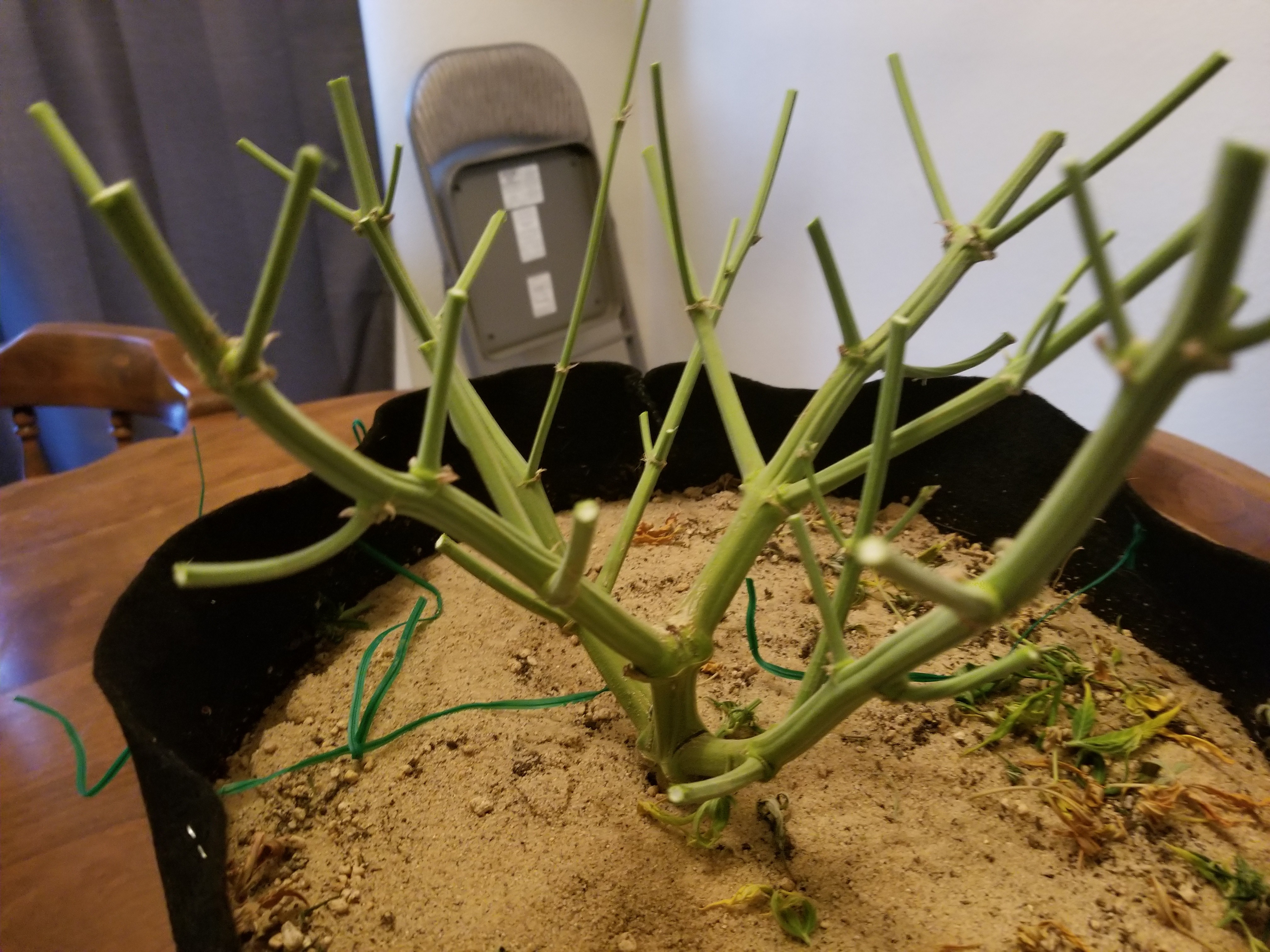 20190113_072227.jpg