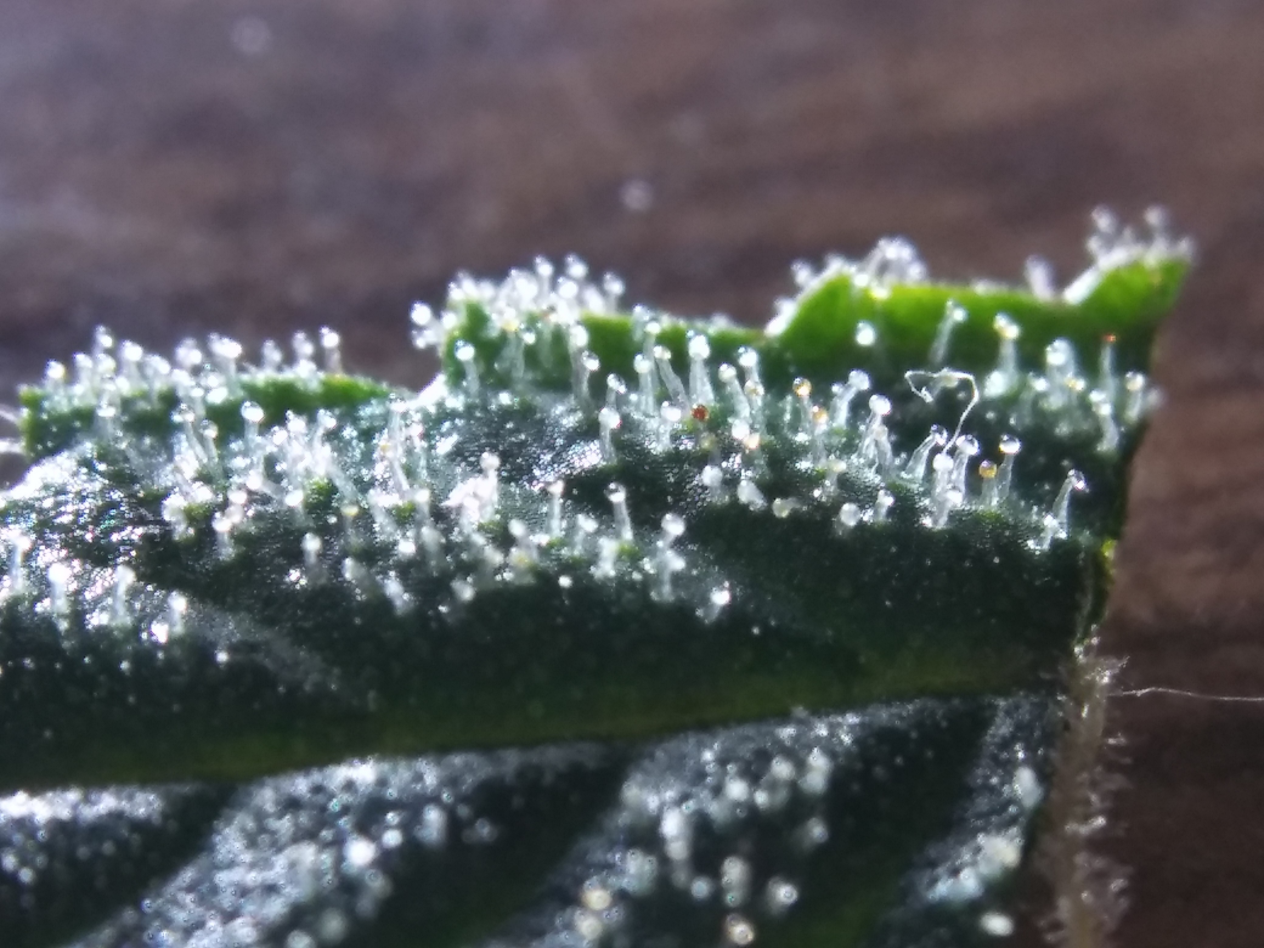 20190114_071614.jpg