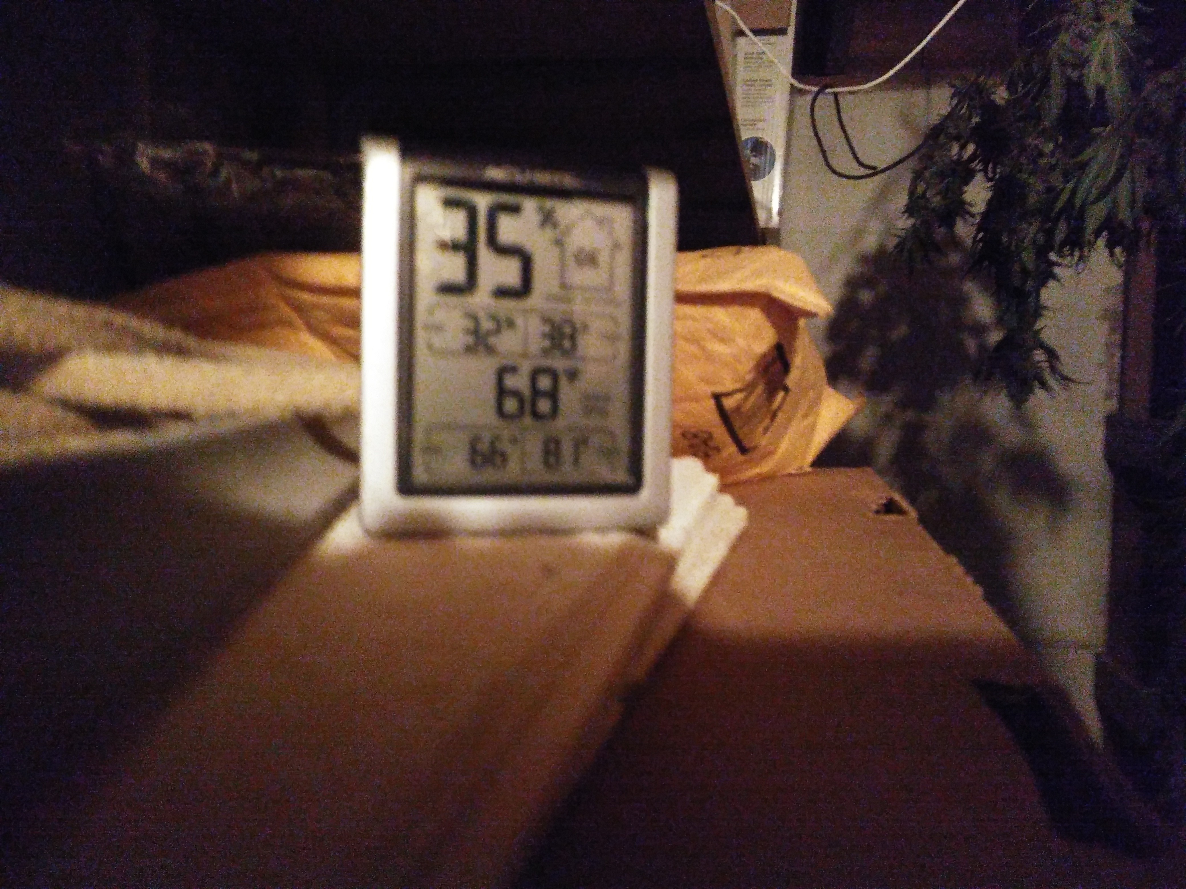 20190119_191955.jpg