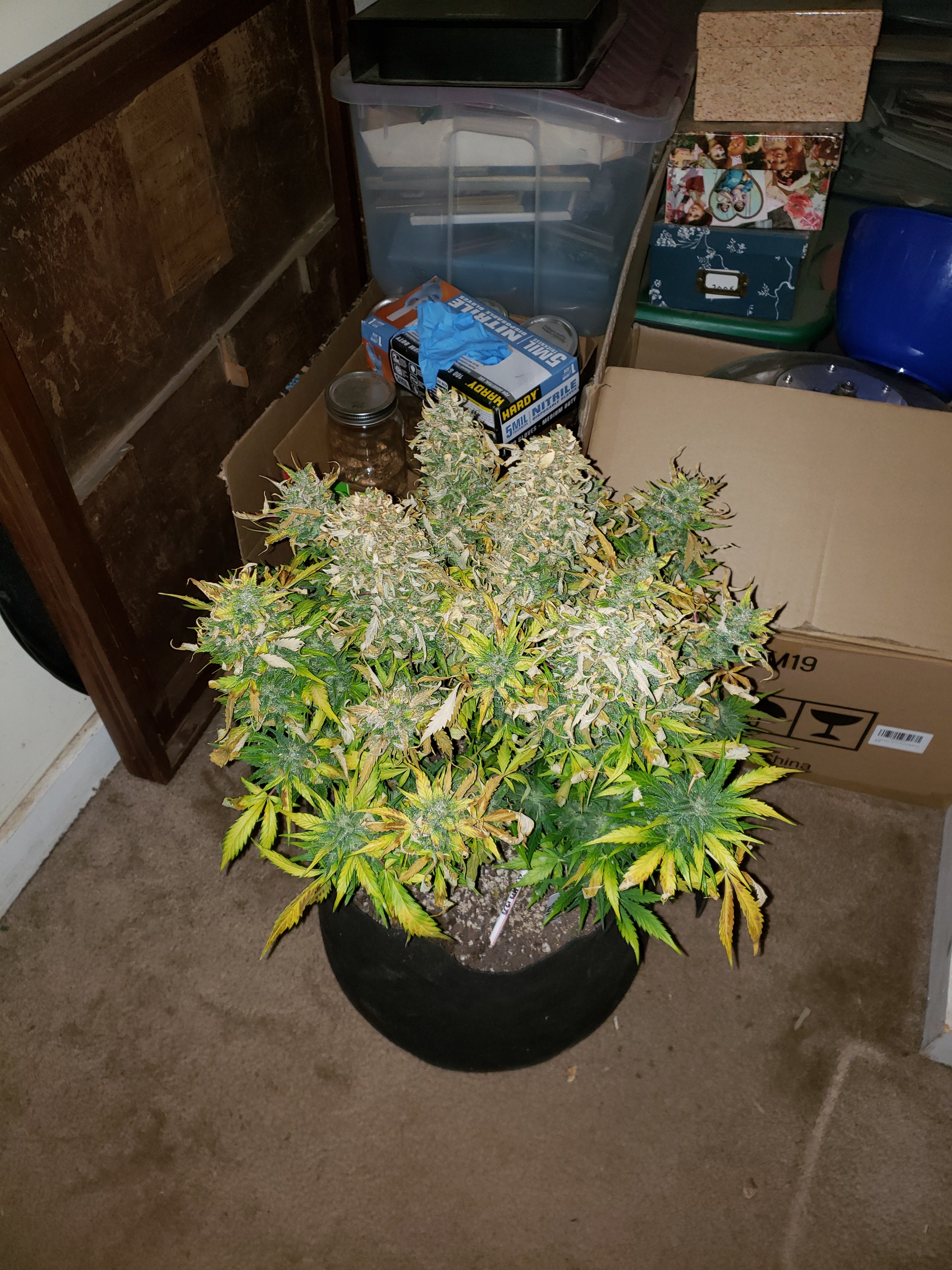 20190208_125153.jpg