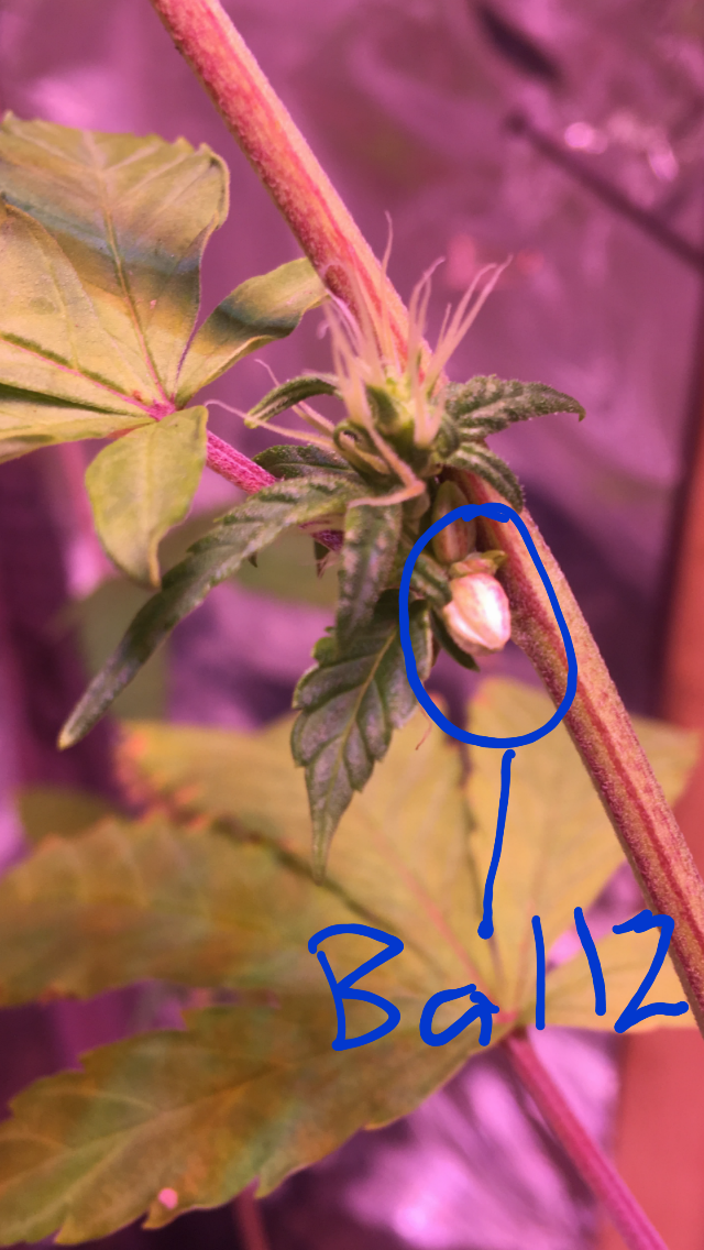 20190212_141132.png