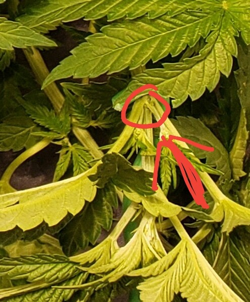 20190313_172235.jpg