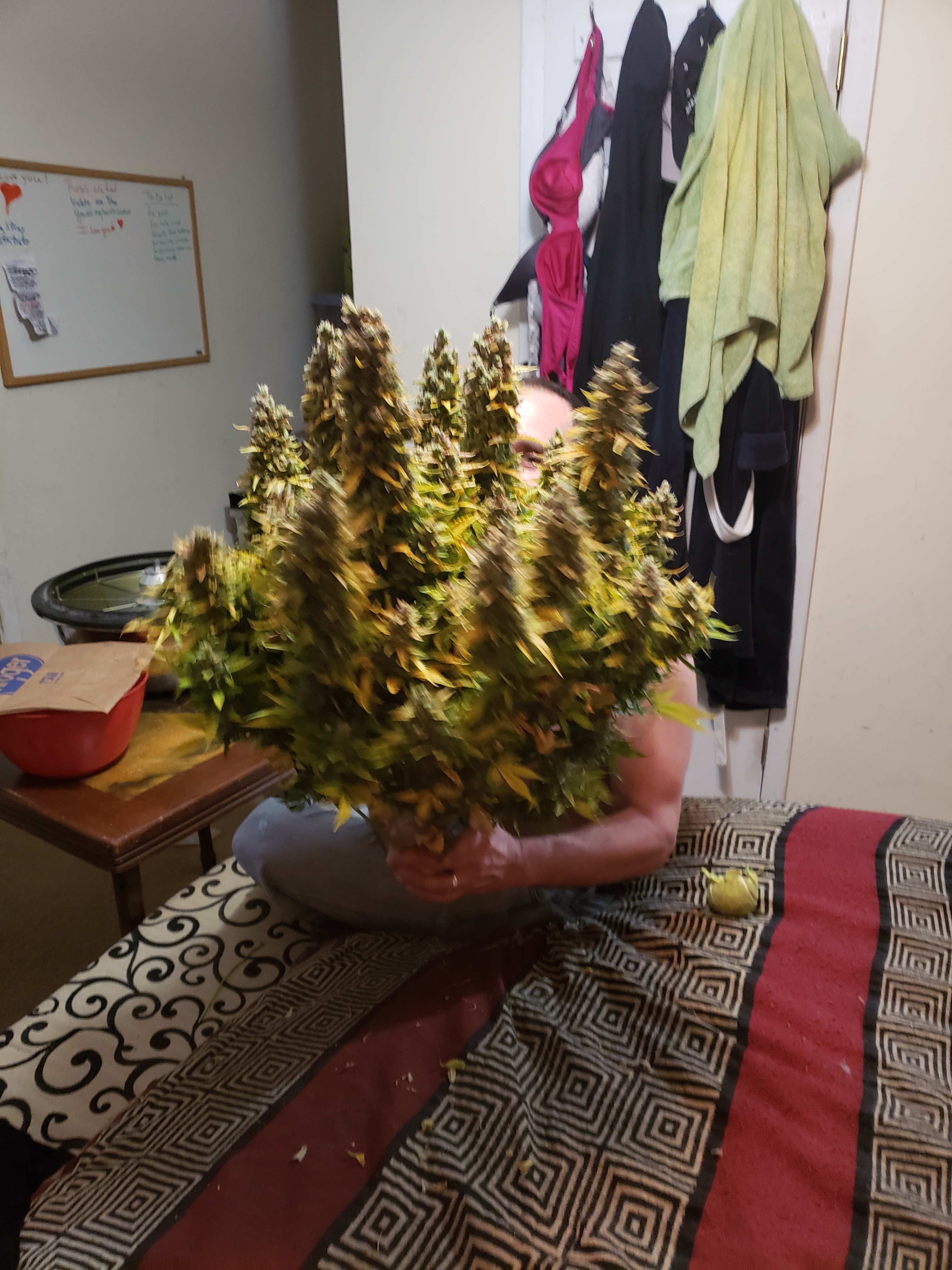 20190318_204410.jpg