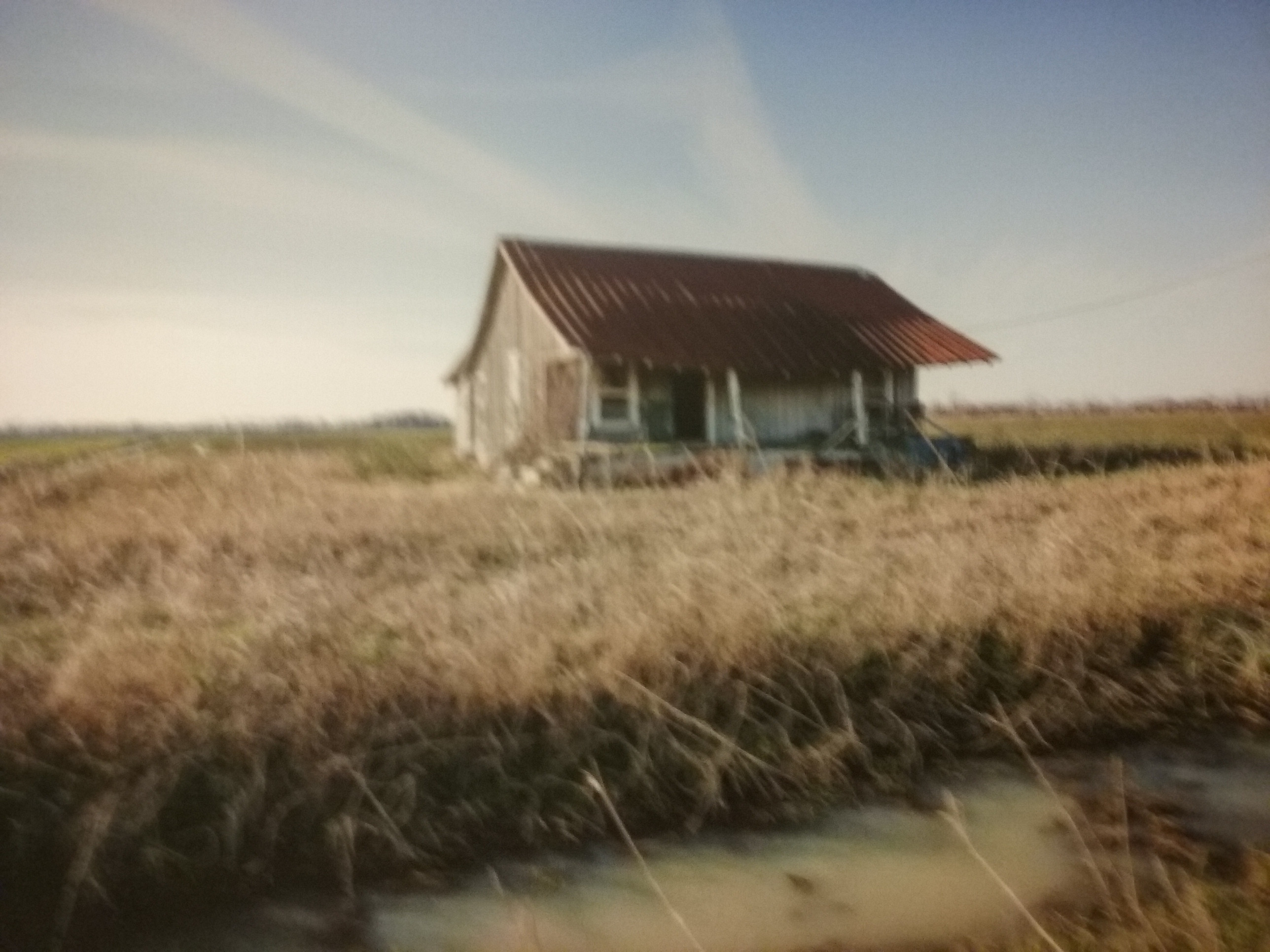 20190328_150614.jpg