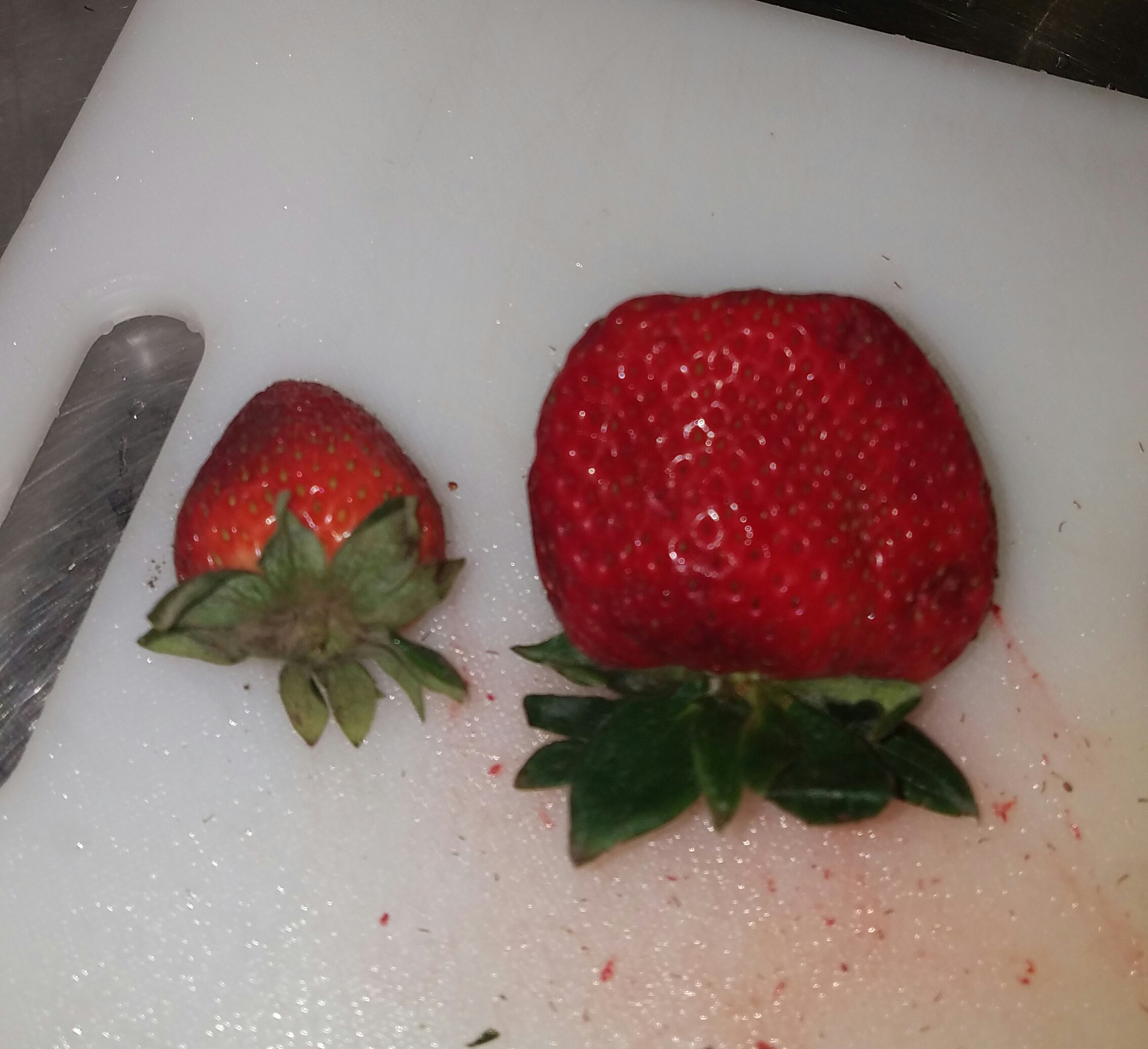 20190409_164307.jpg