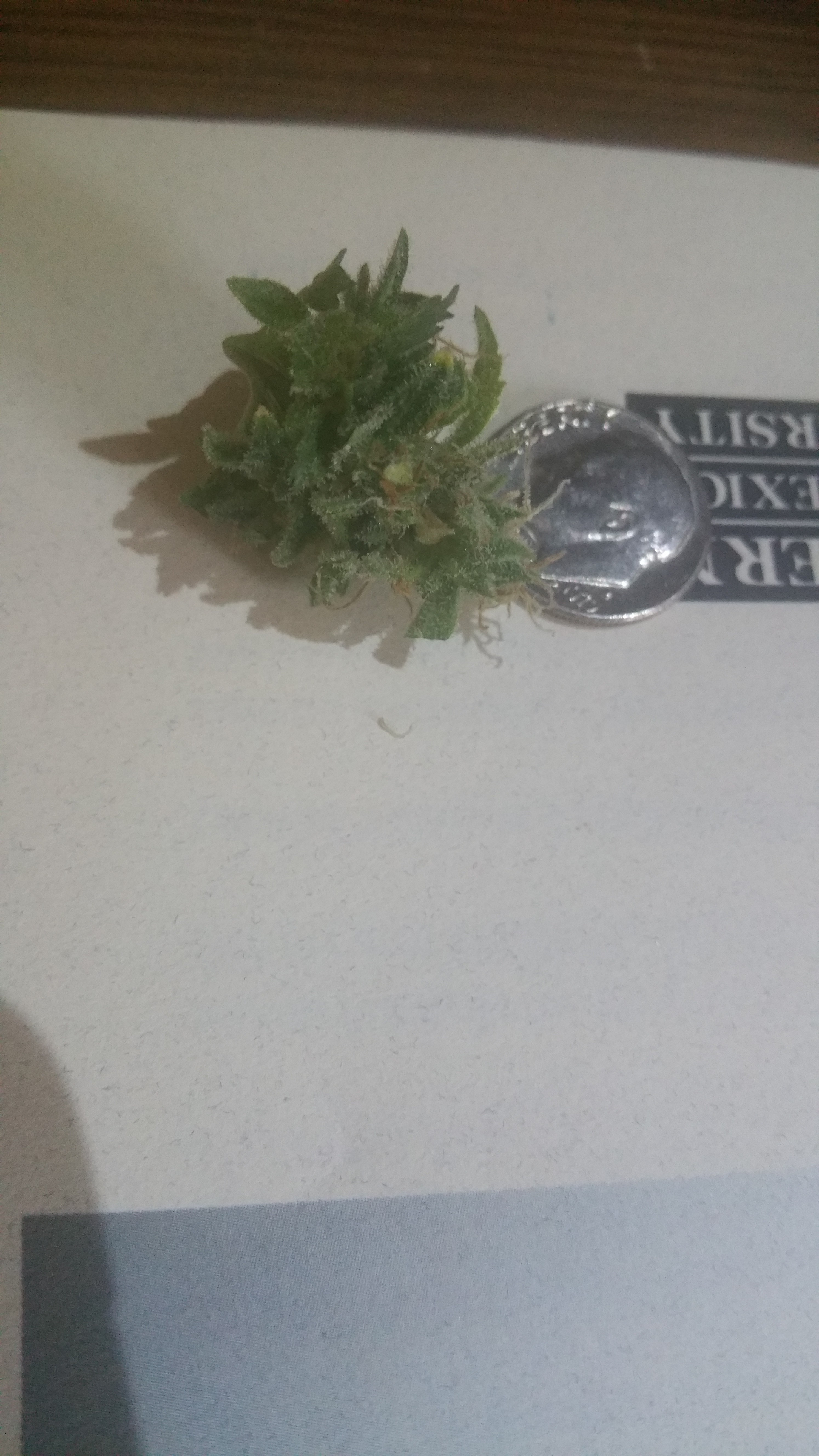 20190425_162241.jpg