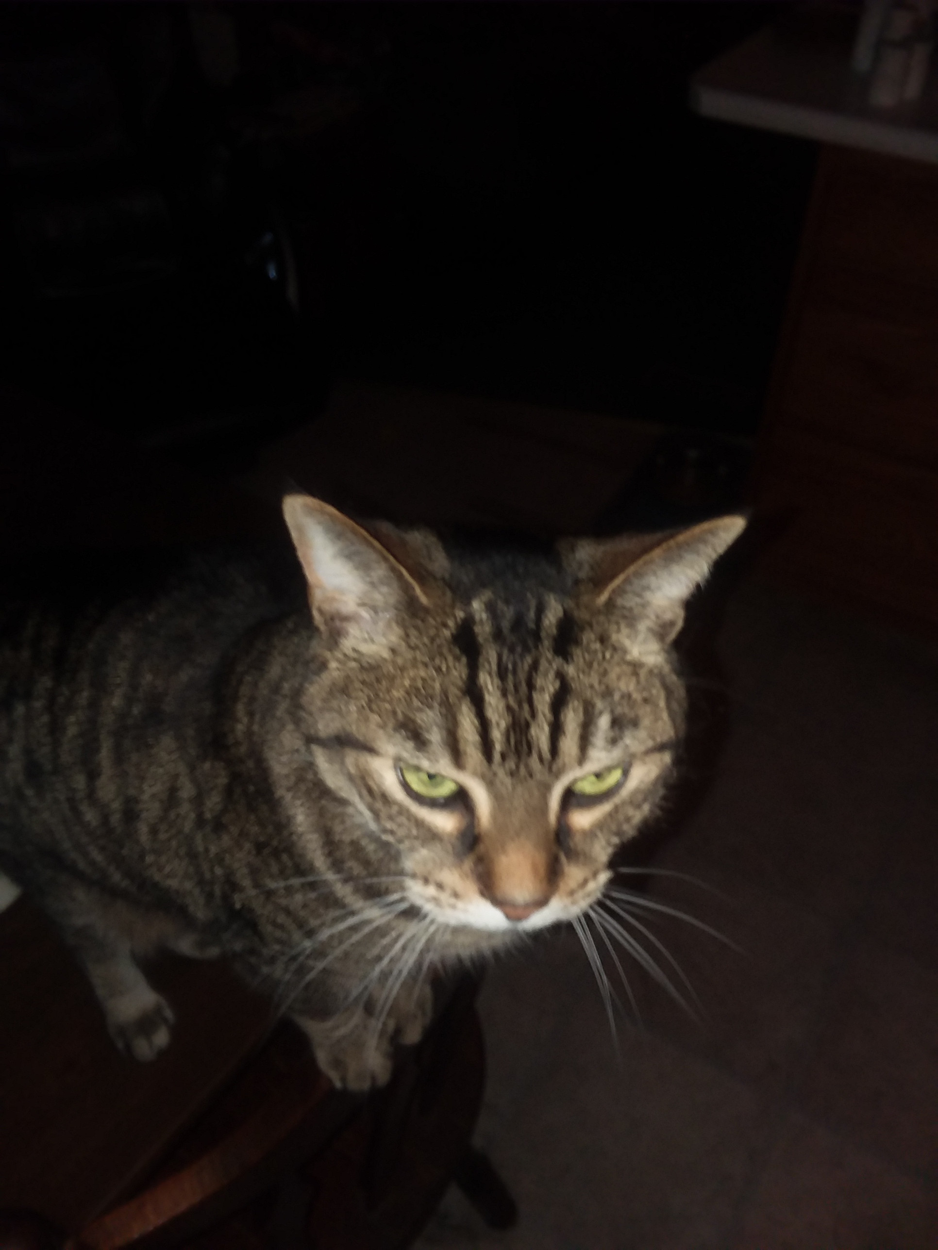 20190502_075942.jpg
